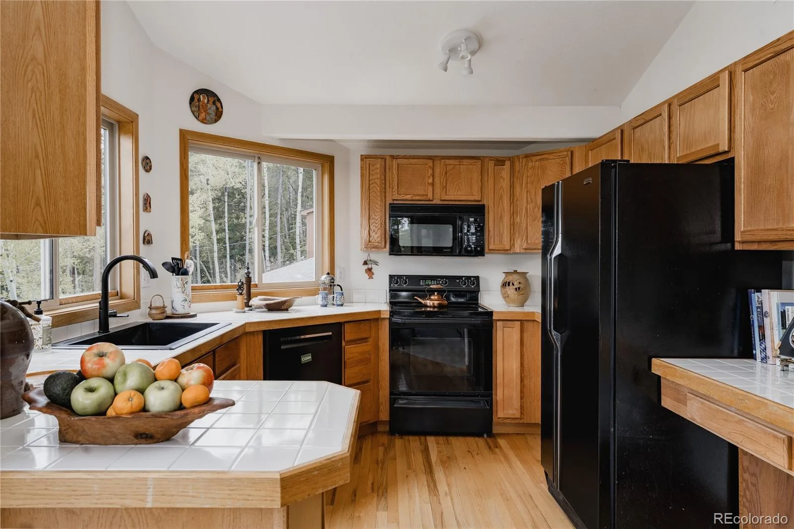 254 Aspenwood Lane Evergreen CO 80439 | MLS #REC9838806 06222026215137 1600 10