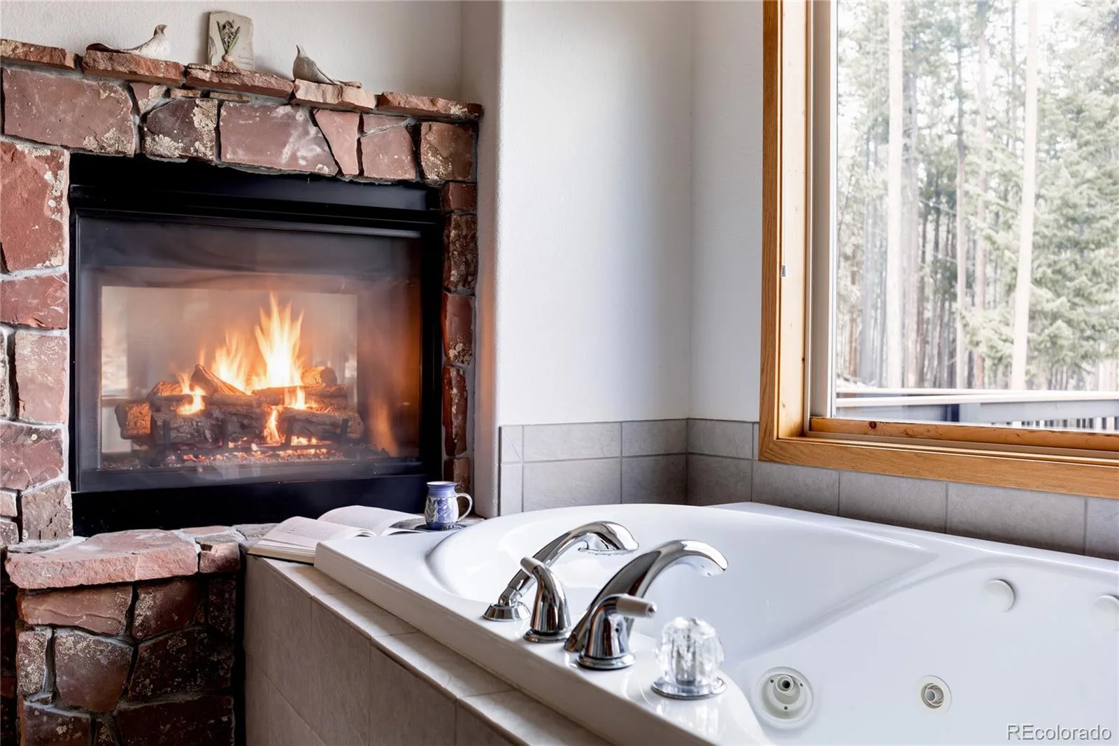 254 Aspenwood Lane Evergreen CO 80439 | MLS #REC9838806 06222026215137 1600 16