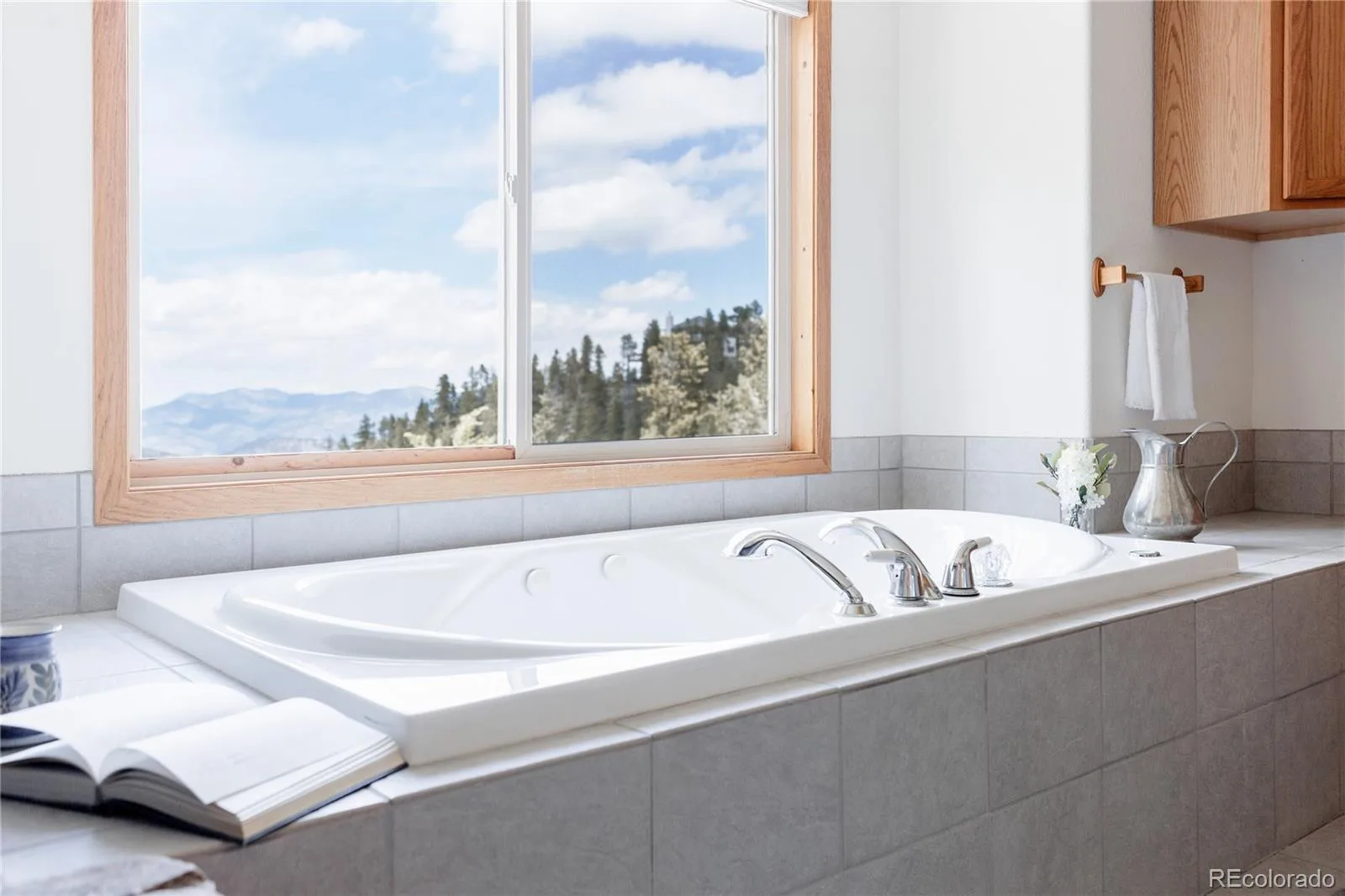 254 Aspenwood Lane Evergreen CO 80439 | MLS #REC9838806 06222026215137 1600 17