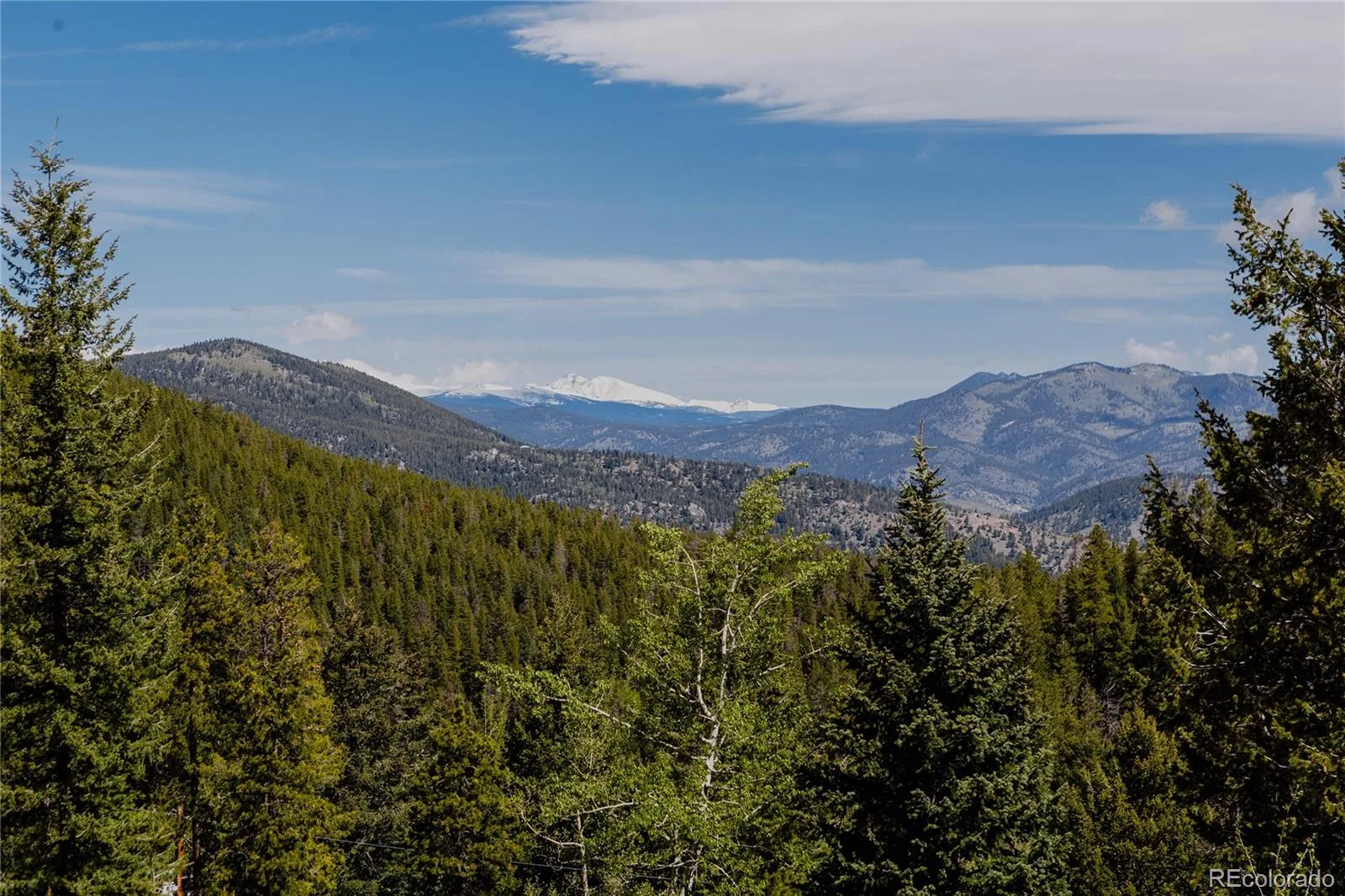 254 Aspenwood Lane Evergreen CO 80439 | MLS #REC9838806 06222026215137 1600 33