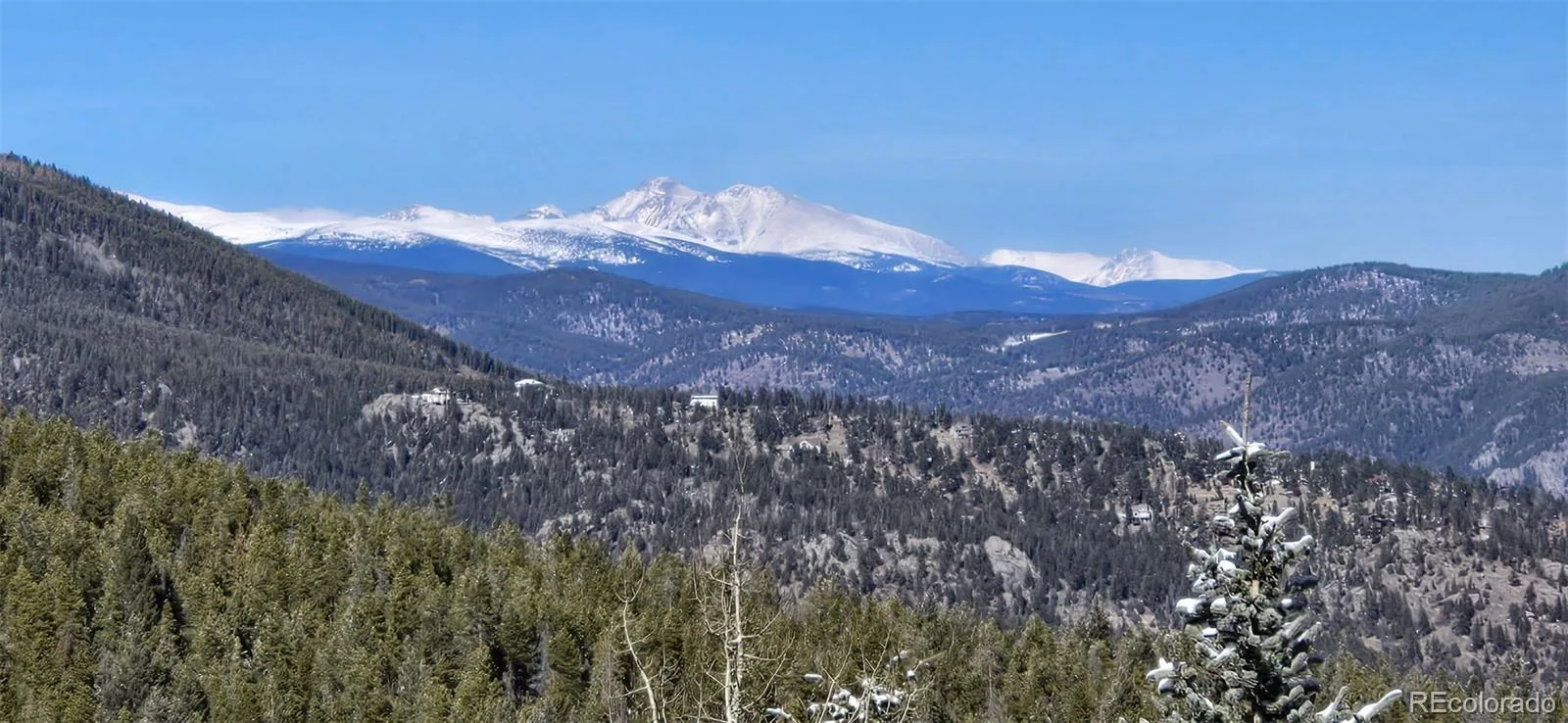 254 Aspenwood Lane Evergreen CO 80439 | MLS #REC9838806 06222026215137 1600 38