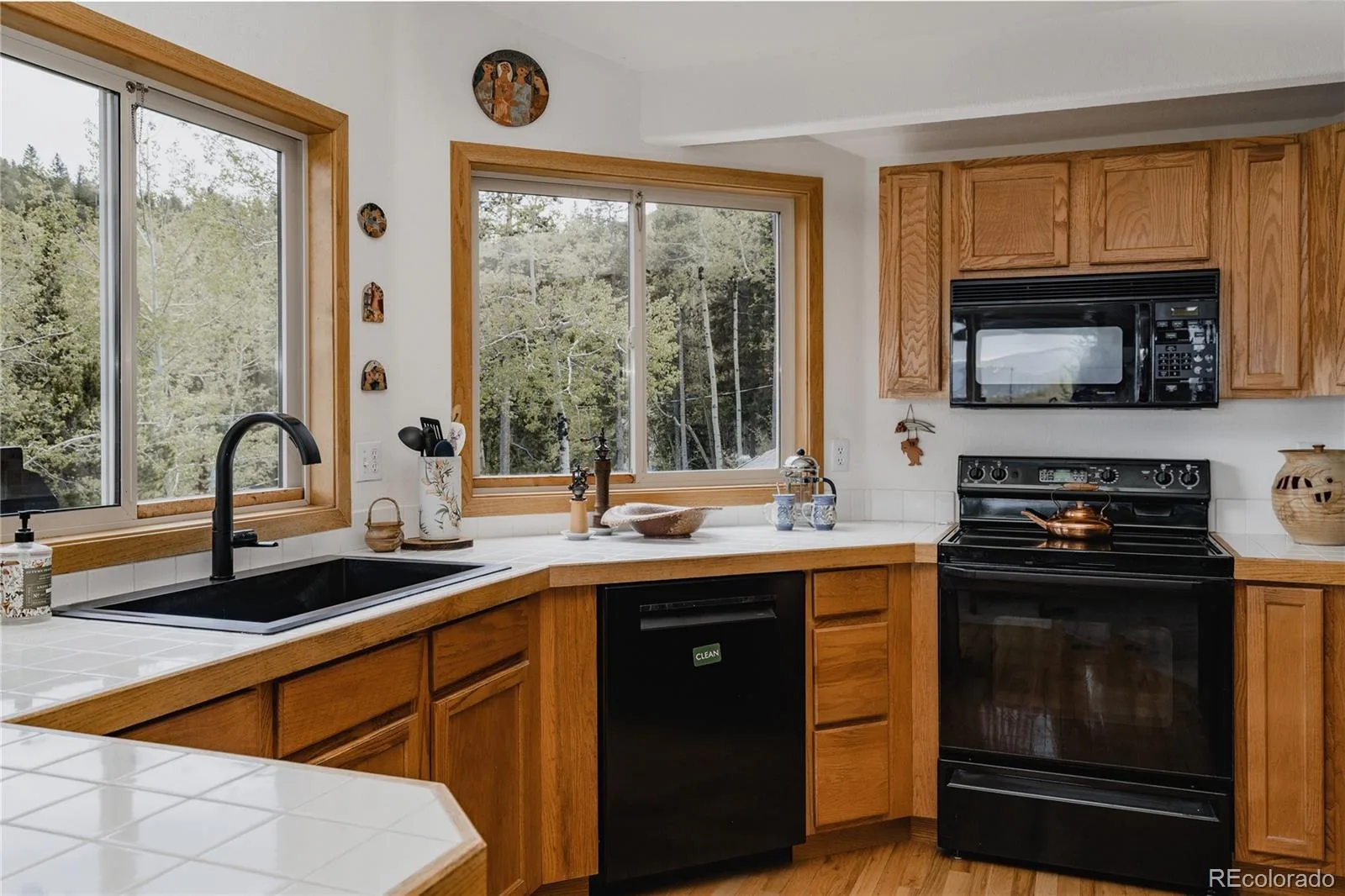 254 Aspenwood Lane Evergreen CO 80439 | MLS #REC9838806 06222026215137 1600 9