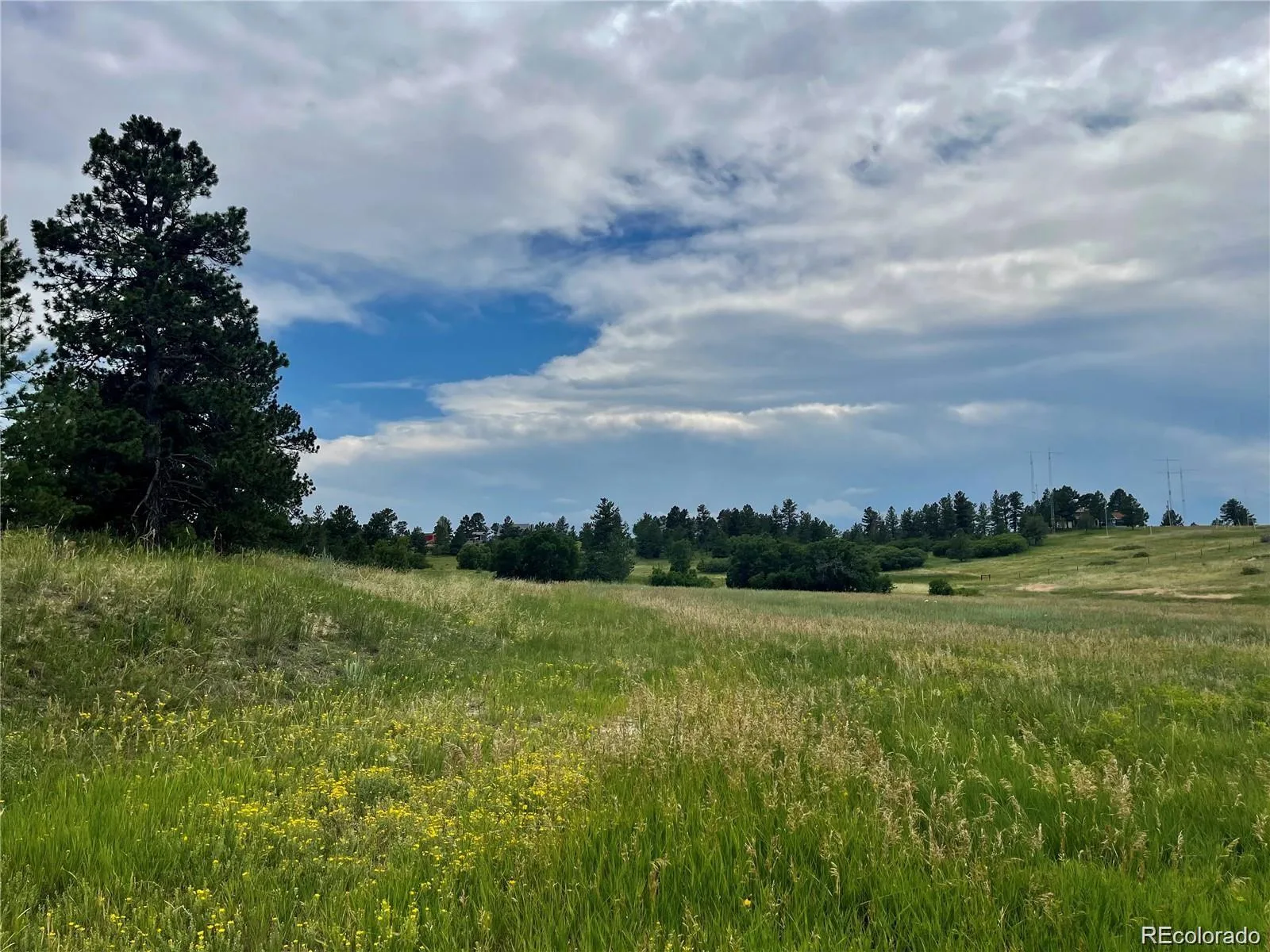 2379 Fox View Trail Franktown CO 80116 | MLS #REC9842903 06202026001402 1600 5