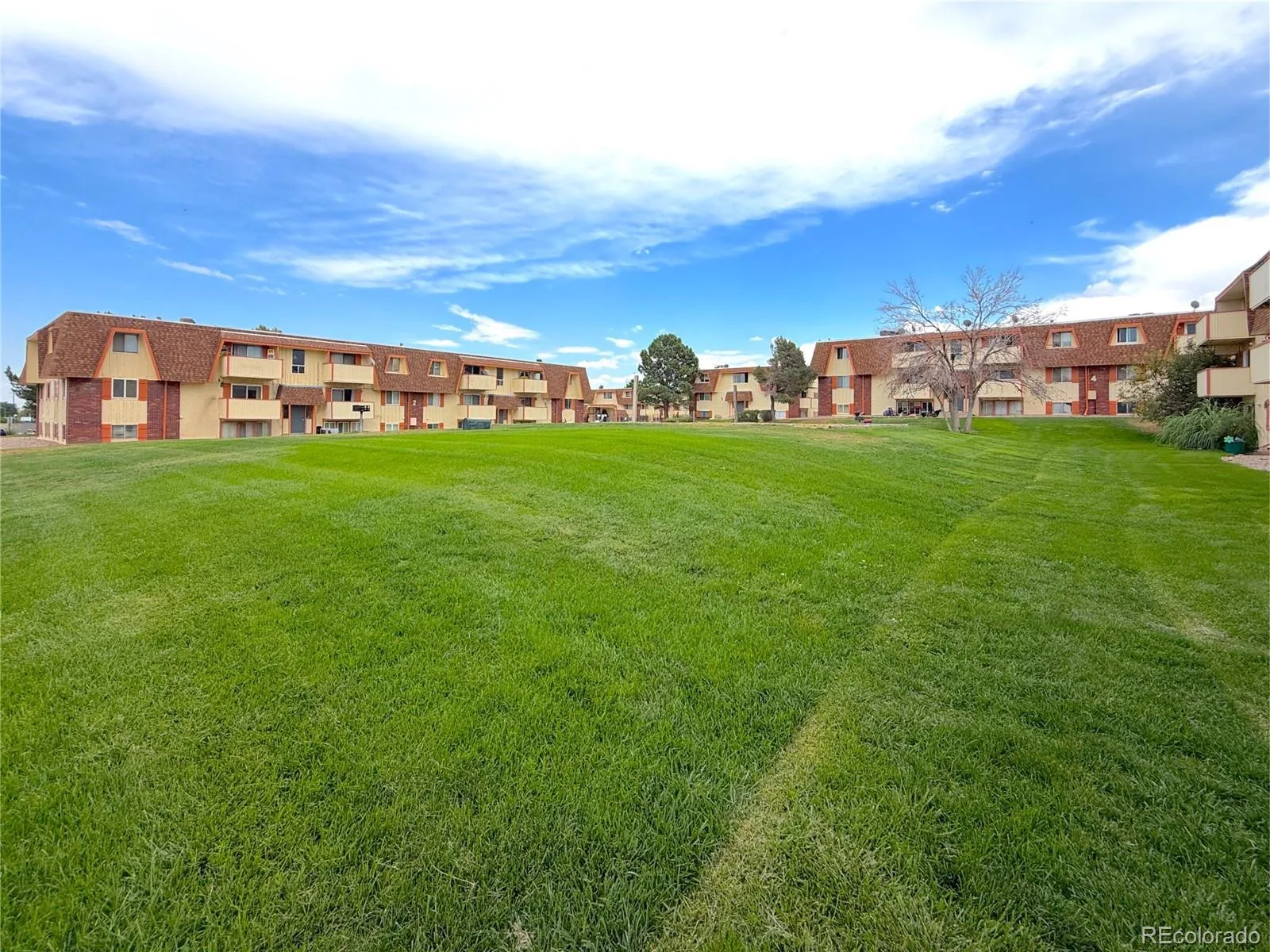 10211 Ura Lane #3-303 Thornton CO 80260 | MLS #REC9843054 07232026032354 1600 24