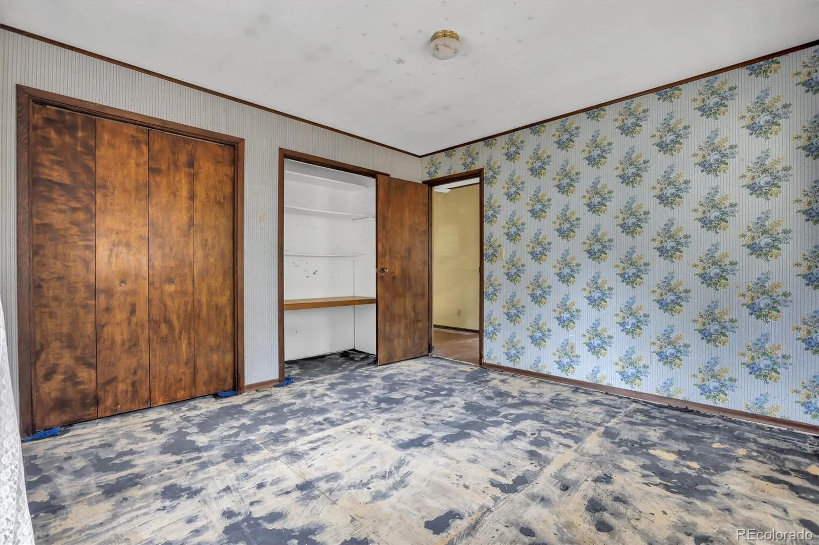55 Meadow View Drive Evergreen CO 80439 | MLS #REC9843395 07272026224450 1600 28