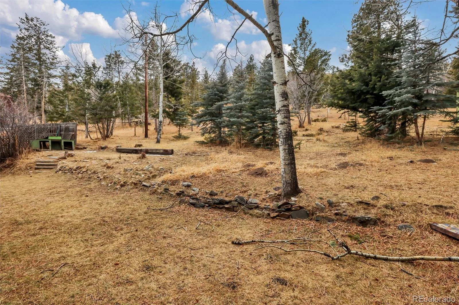 55 Meadow View Drive Evergreen CO 80439 | MLS #REC9843395 07272026224450 1600 48