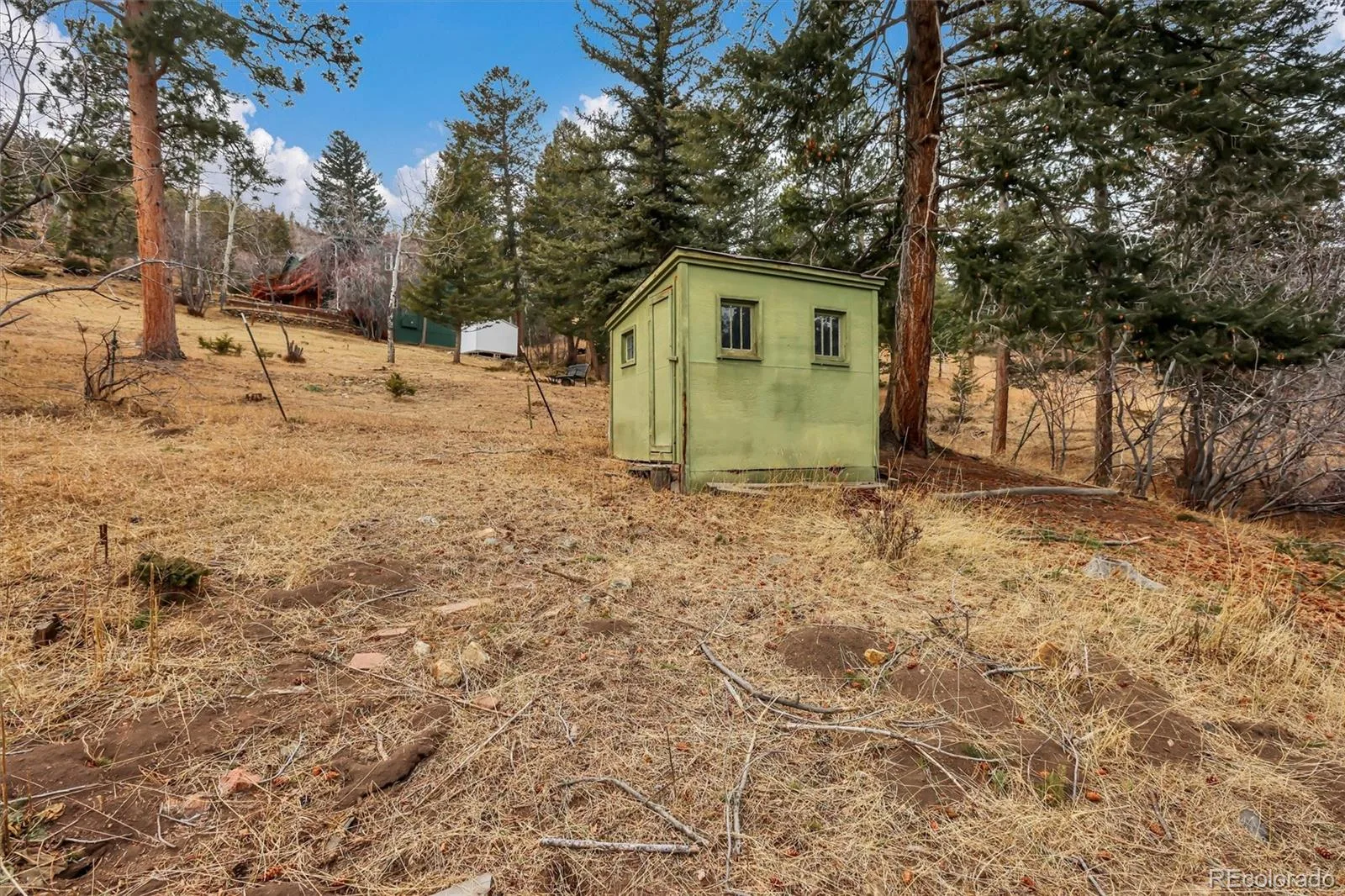 55 Meadow View Drive Evergreen CO 80439 | MLS #REC9843395 07272026224450 1600 49