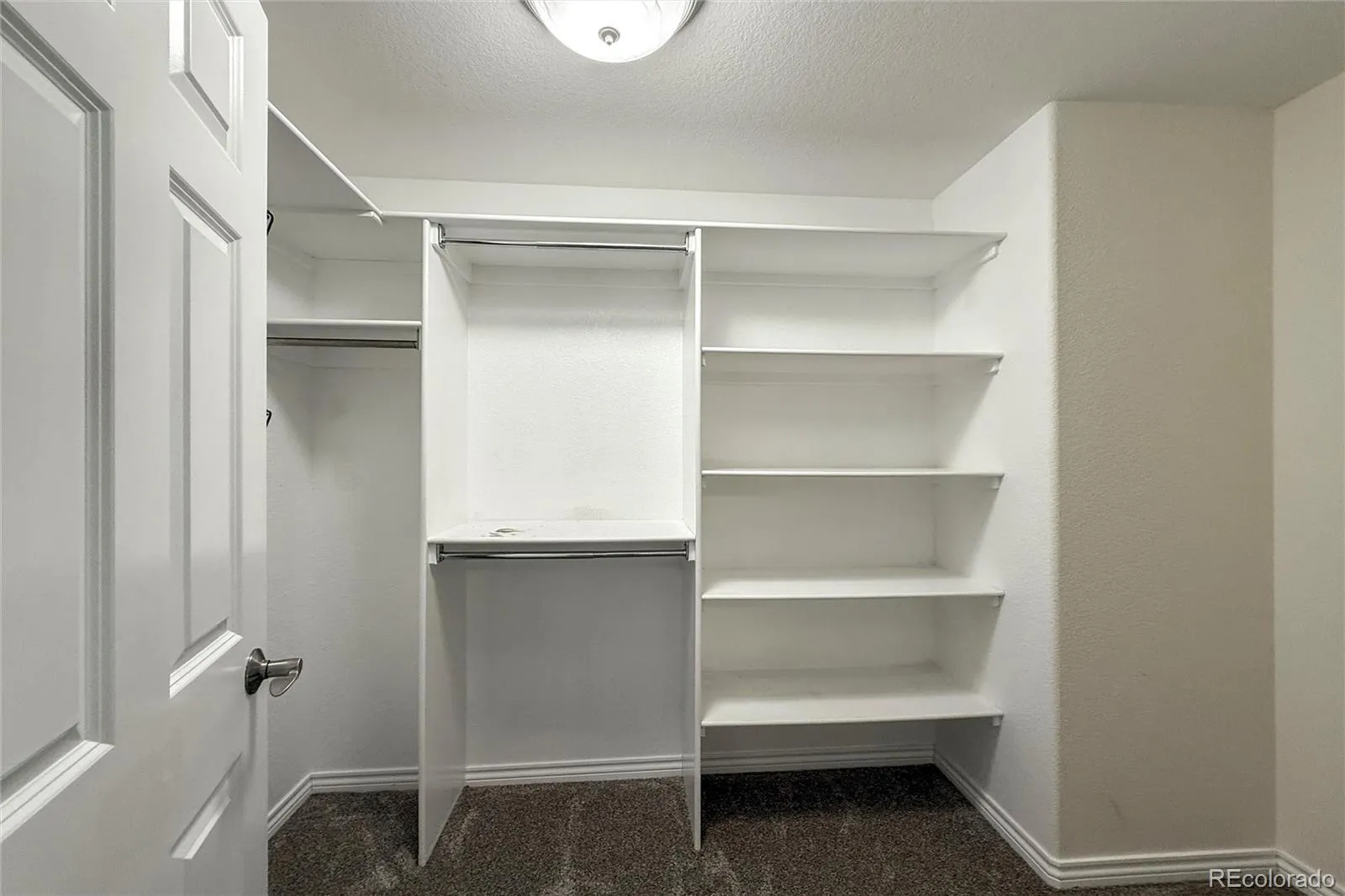 1432 Turin Drive Longmont CO 80503 MLS #REC9846968 05122026231800 1600 40