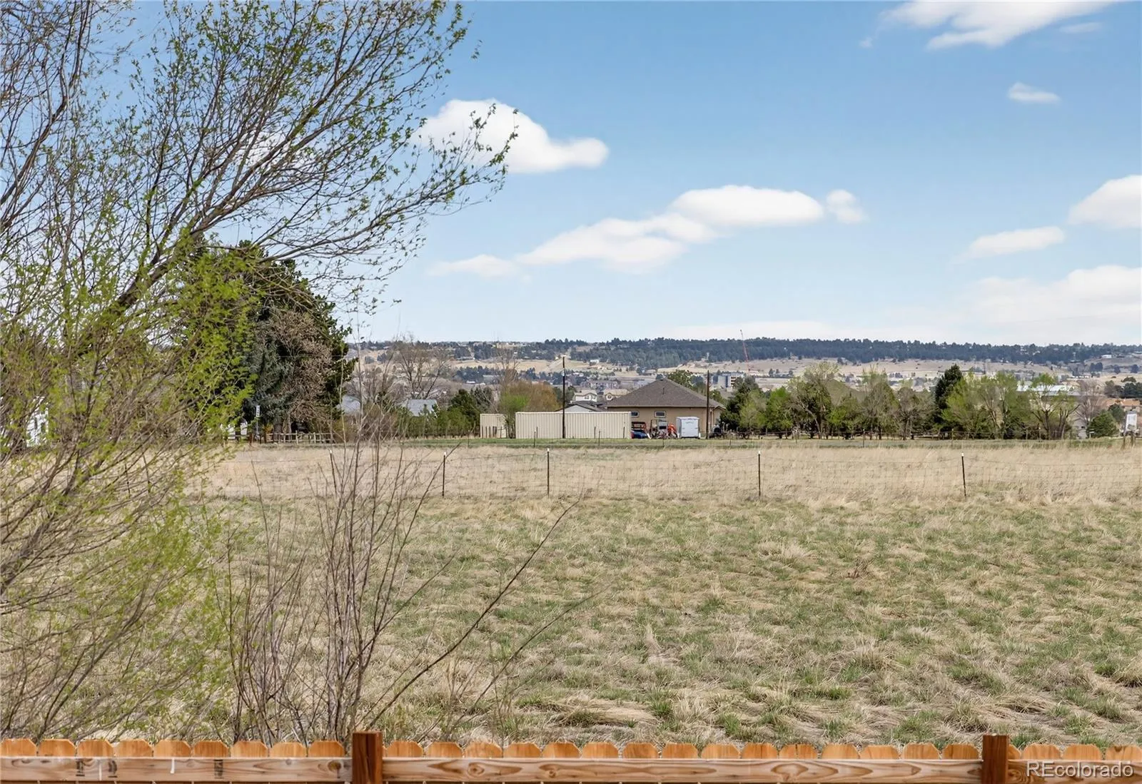 12626 N 1st Street Parker CO 80134 MLS #REC9847541 04012026161011 1600 27