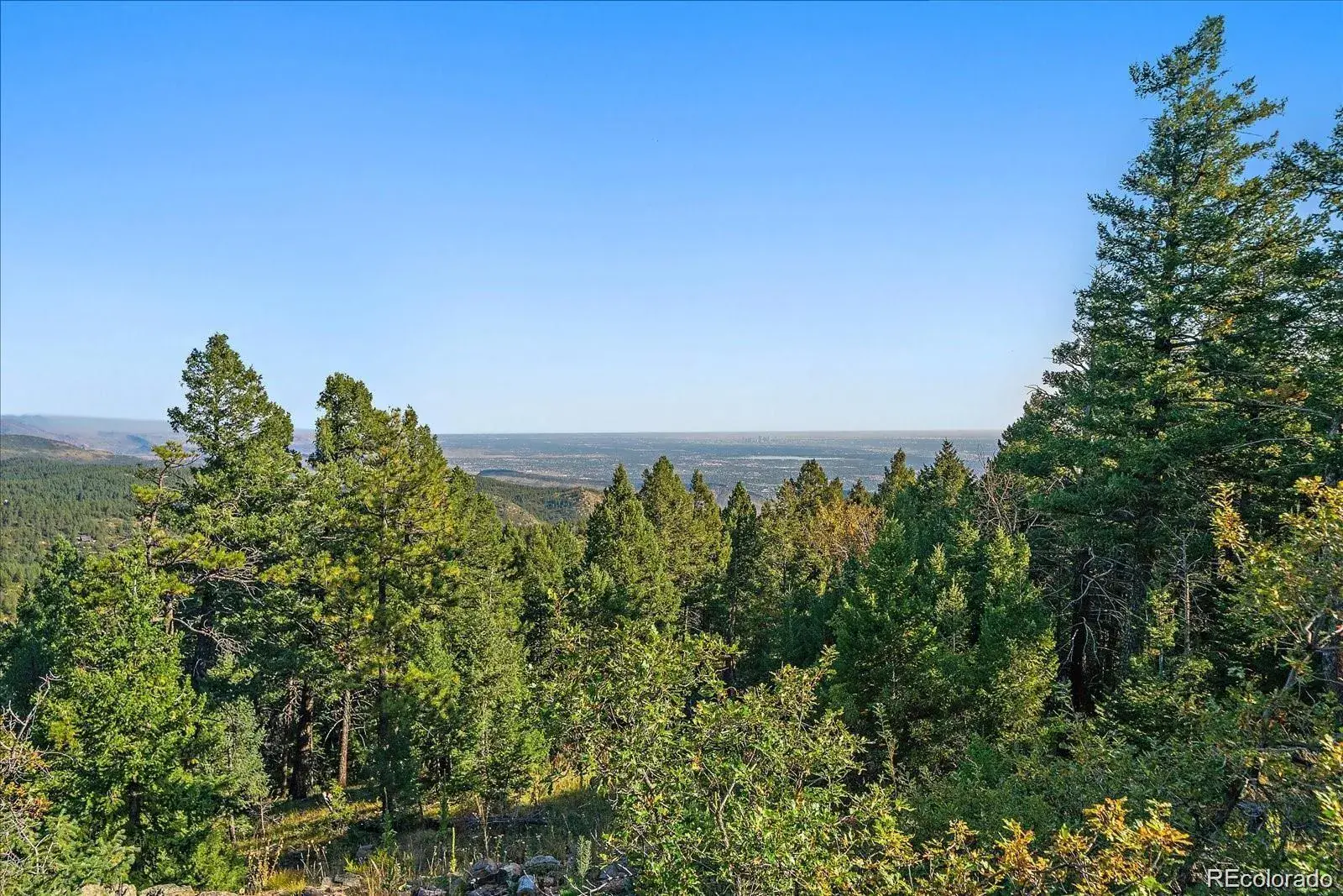 000 Flat Top Trail Littleton CO 80127 | MLS #REC9847641 01242026020610 1600 1