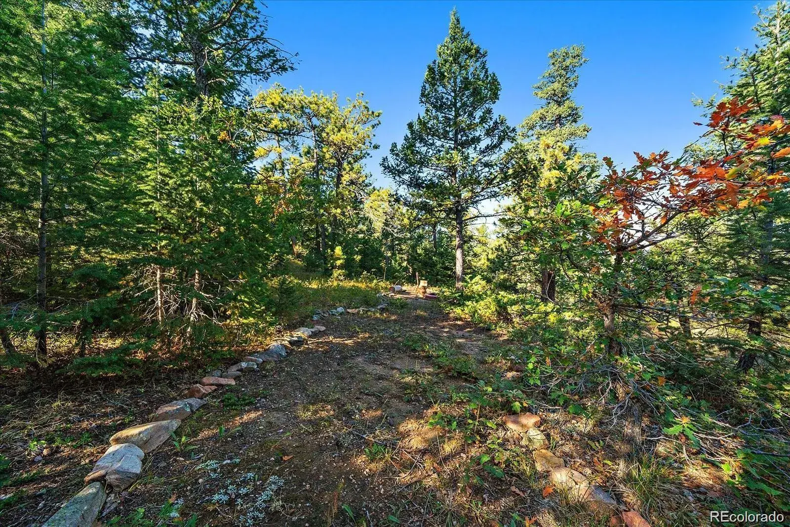 000 Flat Top Trail Littleton CO 80127 | MLS #REC9847641 01242026020610 1600 18