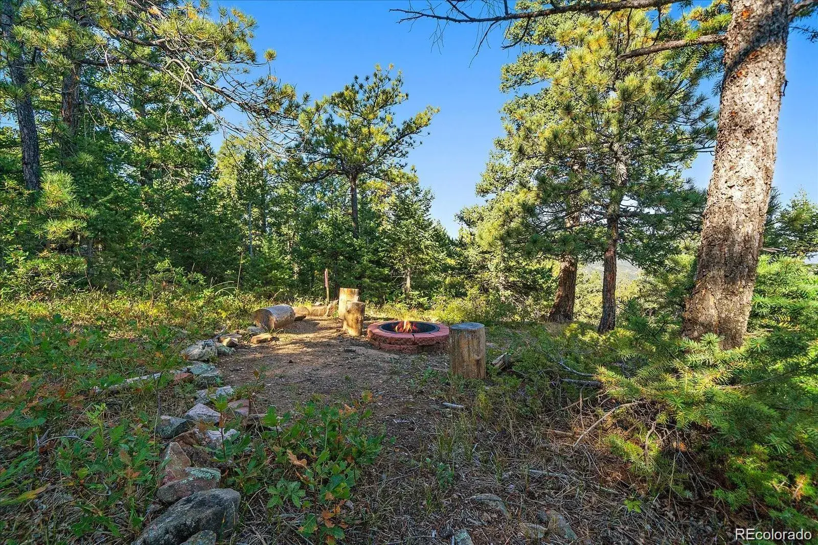 000 Flat Top Trail Littleton CO 80127 | MLS #REC9847641 01242026020610 1600 20