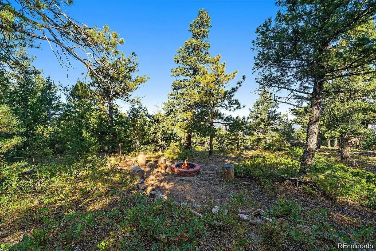 000 Flat Top Trail Littleton CO 80127 | MLS #REC9847641 01242026020610 1600 21