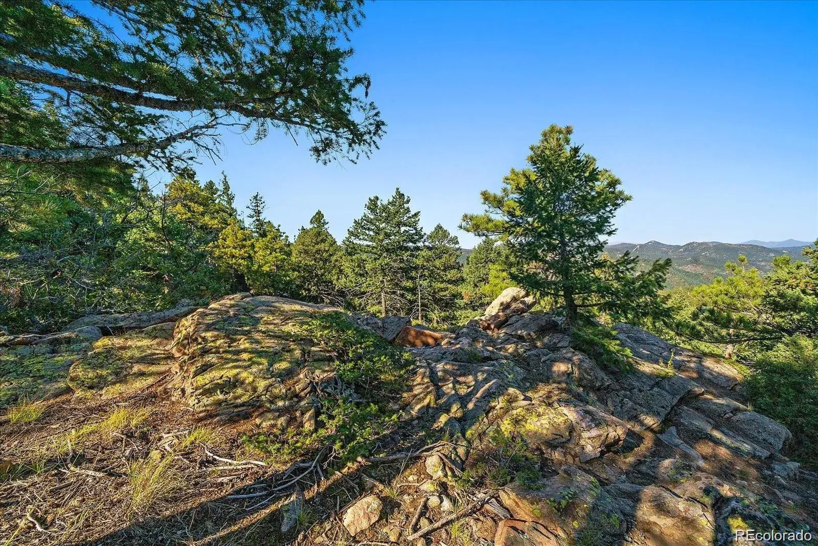 000 Flat Top Trail Littleton CO 80127 | MLS #REC9847641 01242026020610 1600 22