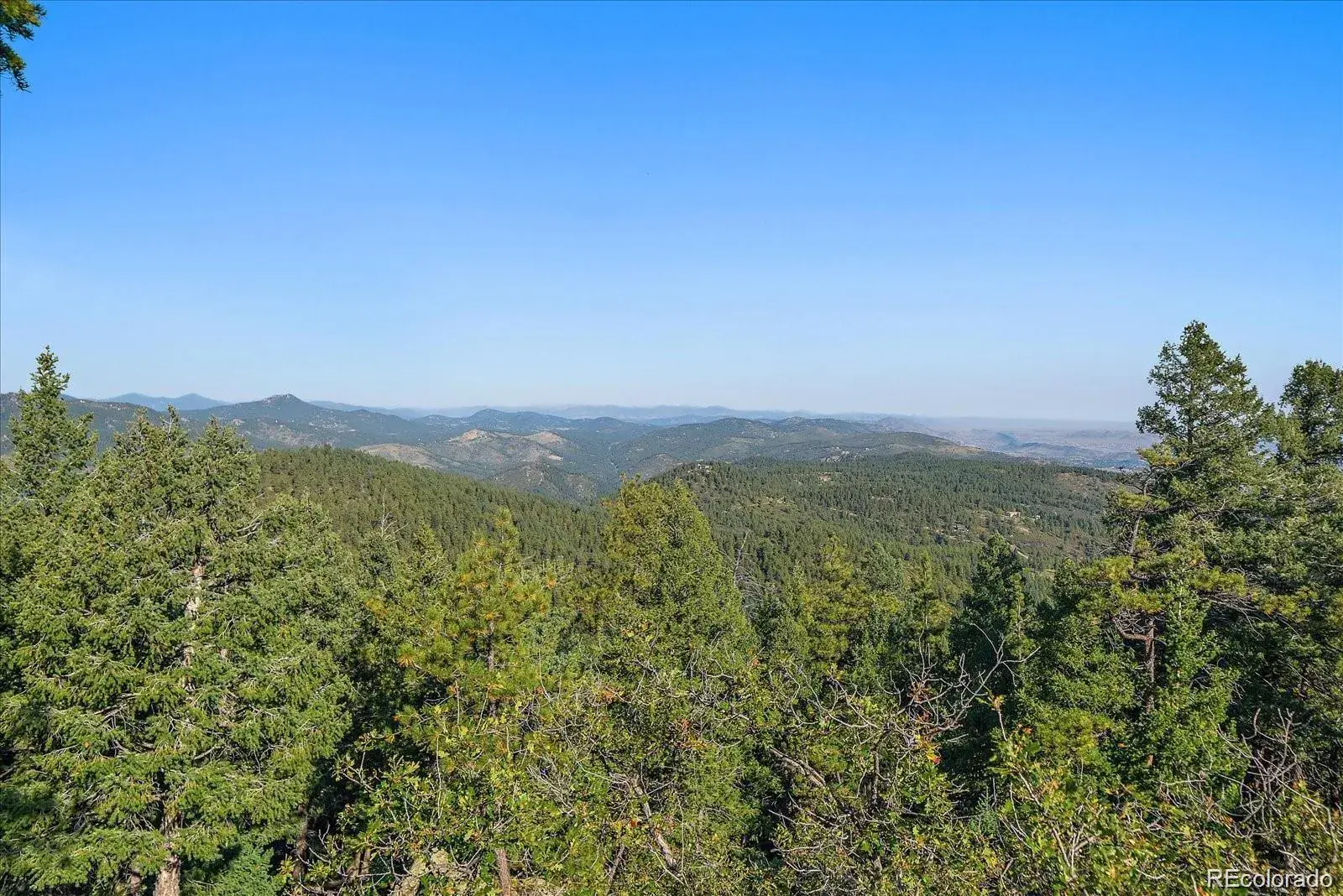 000 Flat Top Trail Littleton CO 80127 | MLS #REC9847641 01242026020610 1600 29