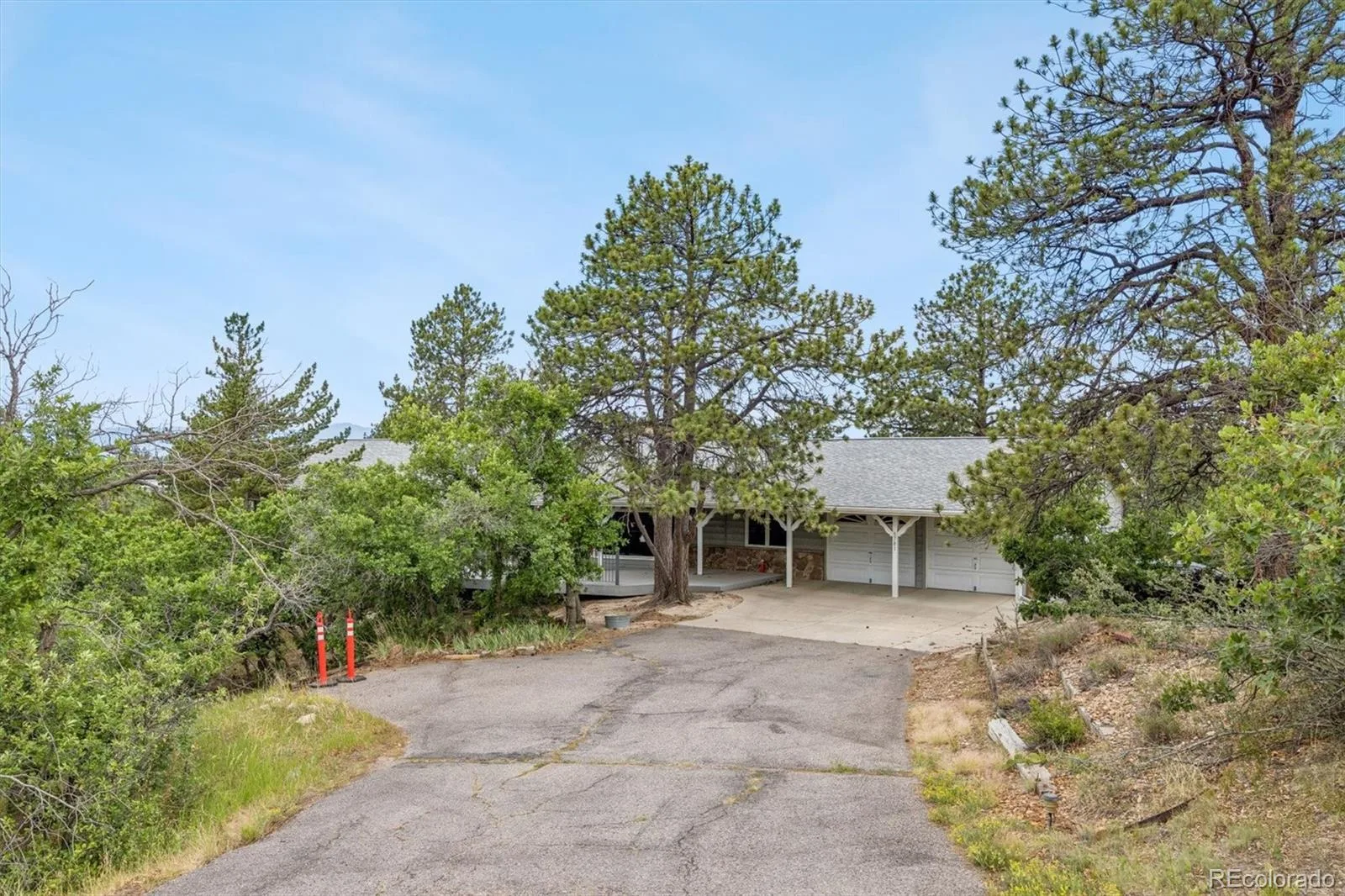 5781 N Lariat Drive Castle Rock CO 80108 MLS #REC9853259 06302026160633 1600 2