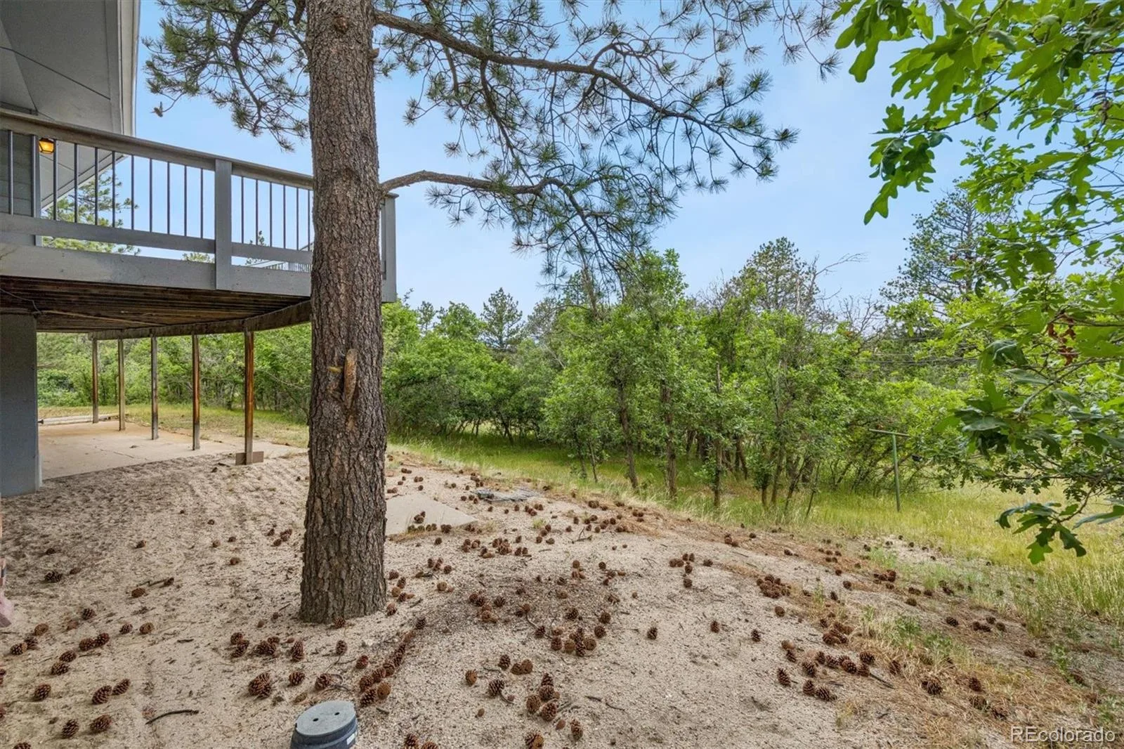 5781 N Lariat Drive Castle Rock CO 80108 MLS #REC9853259 06302026160633 1600 4