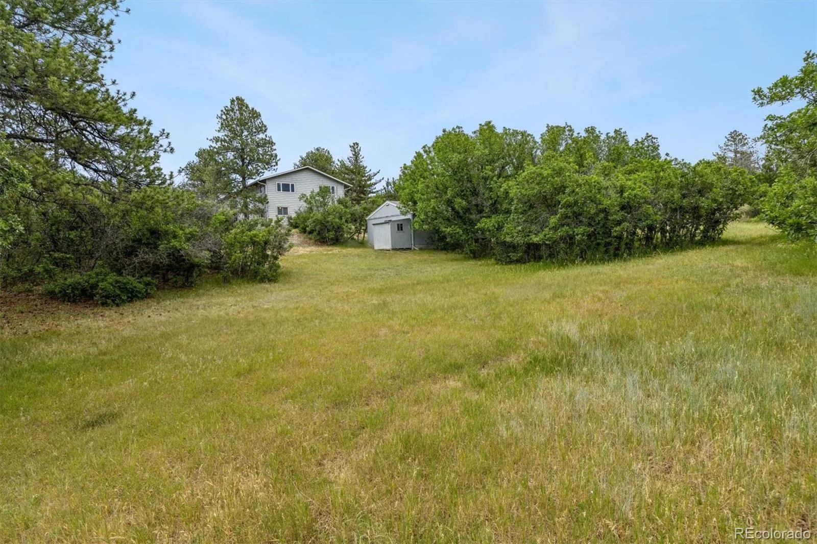 5781 N Lariat Drive Castle Rock CO 80108 MLS #REC9853259 06302026160633 1600 42