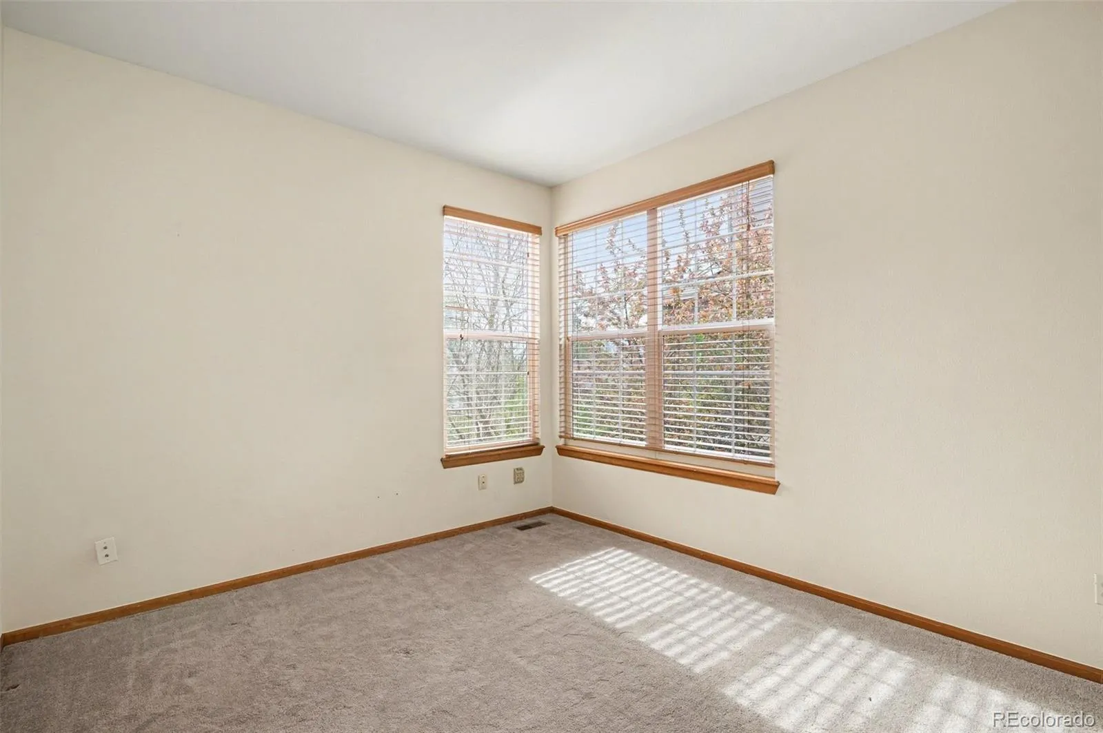 9231 Millcreek Court Highlands Ranch CO 80126 MLS #REC9863177 04292026212218 1600 27