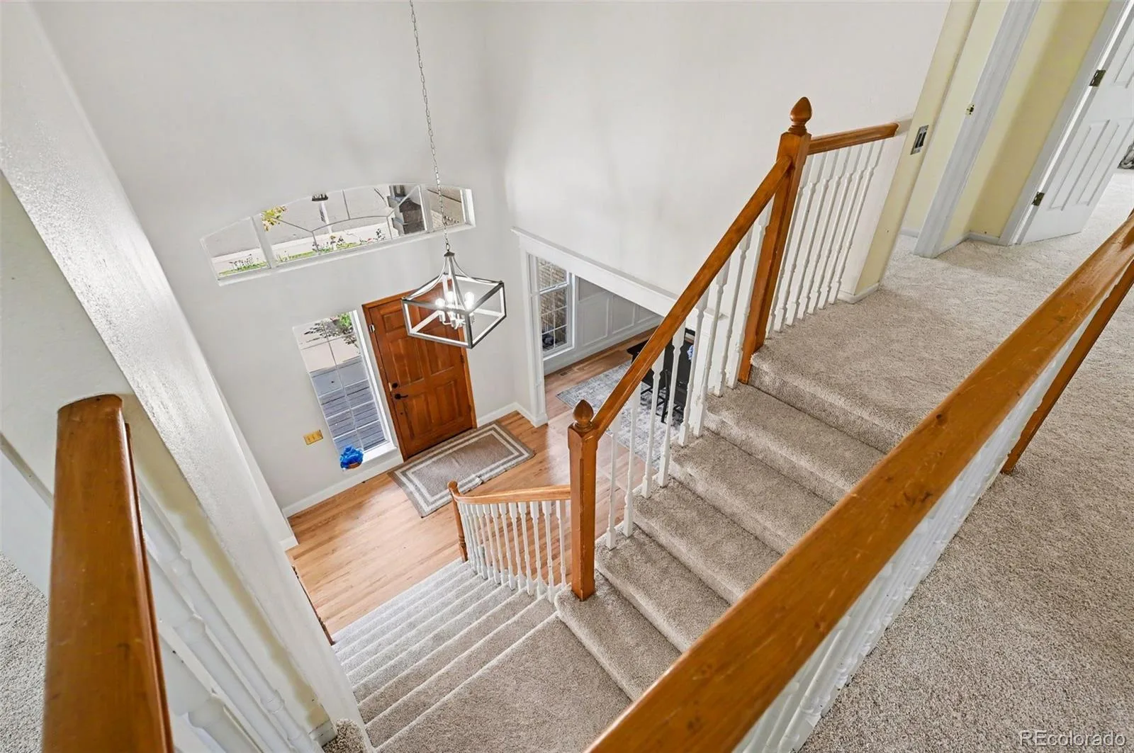 9231 Millcreek Court Highlands Ranch CO 80126 MLS #REC9863177 07062026183459 1600 18