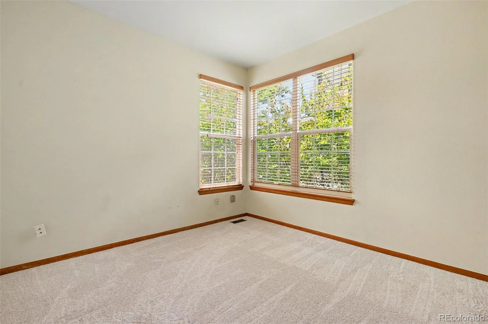 9231 Millcreek Court Highlands Ranch CO 80126 MLS #REC9863177 07062026183459 1600 24