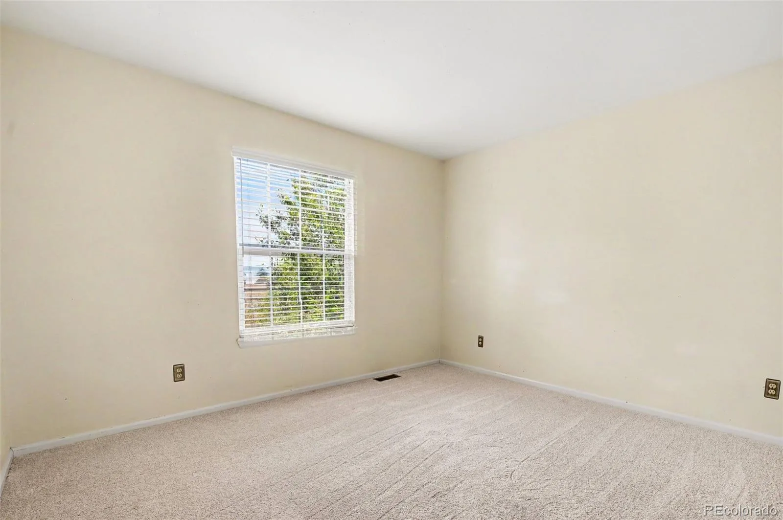 9231 Millcreek Court Highlands Ranch CO 80126 MLS #REC9863177 07062026183459 1600 29
