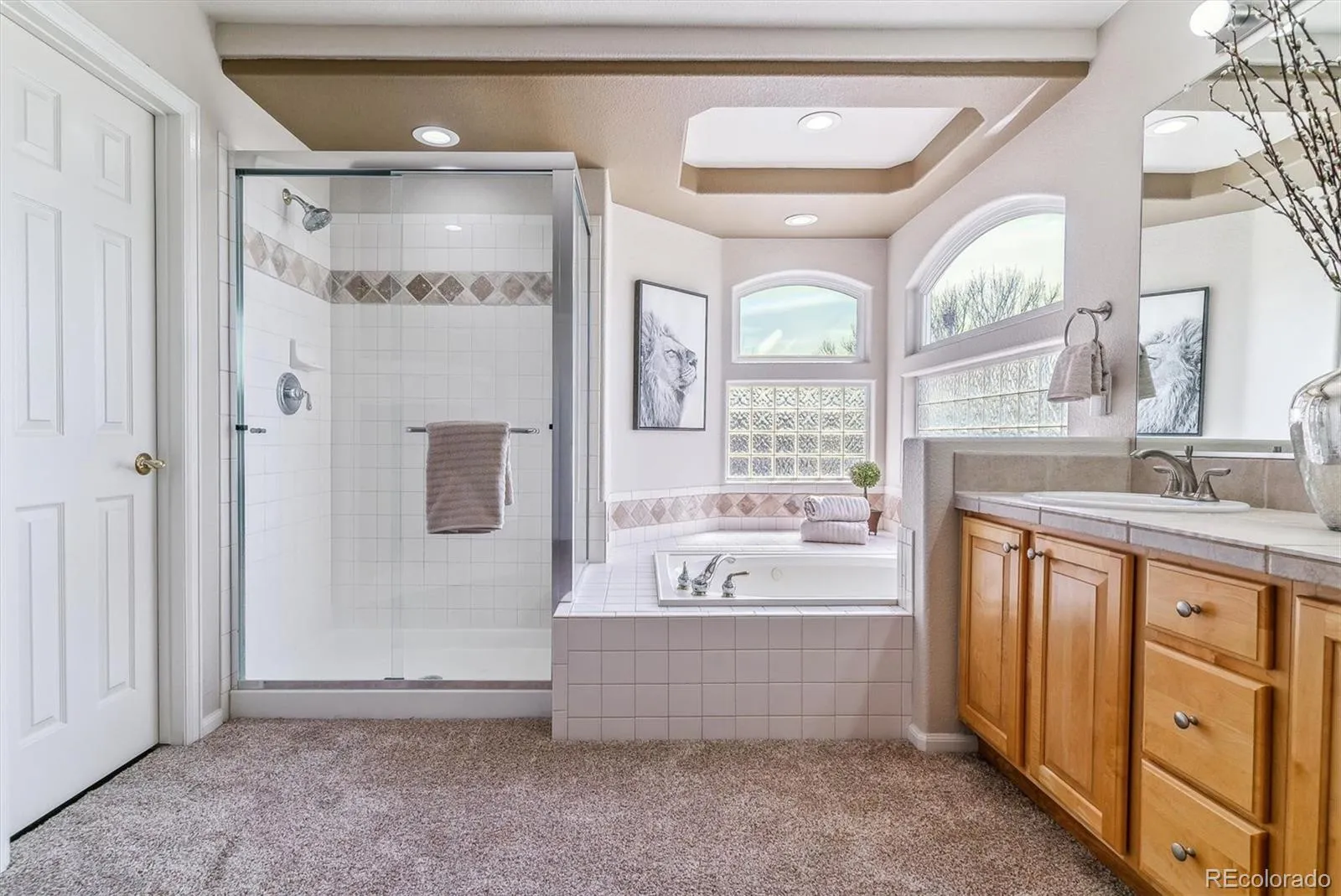 9109 Ironwood Way Highlands Ranch CO 80129 MLS #REC9869972 04292026034736 1600 27