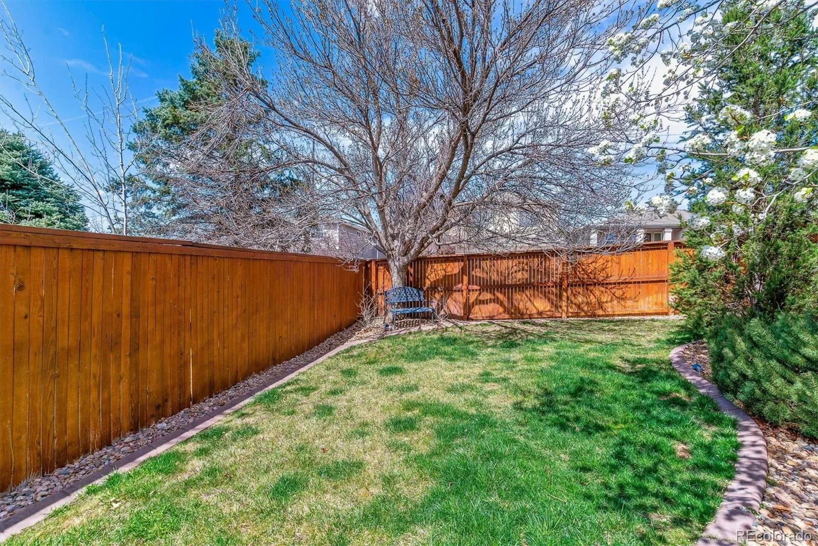 9109 Ironwood Way Highlands Ranch CO 80129 MLS #REC9869972 04292026034736 1600 41