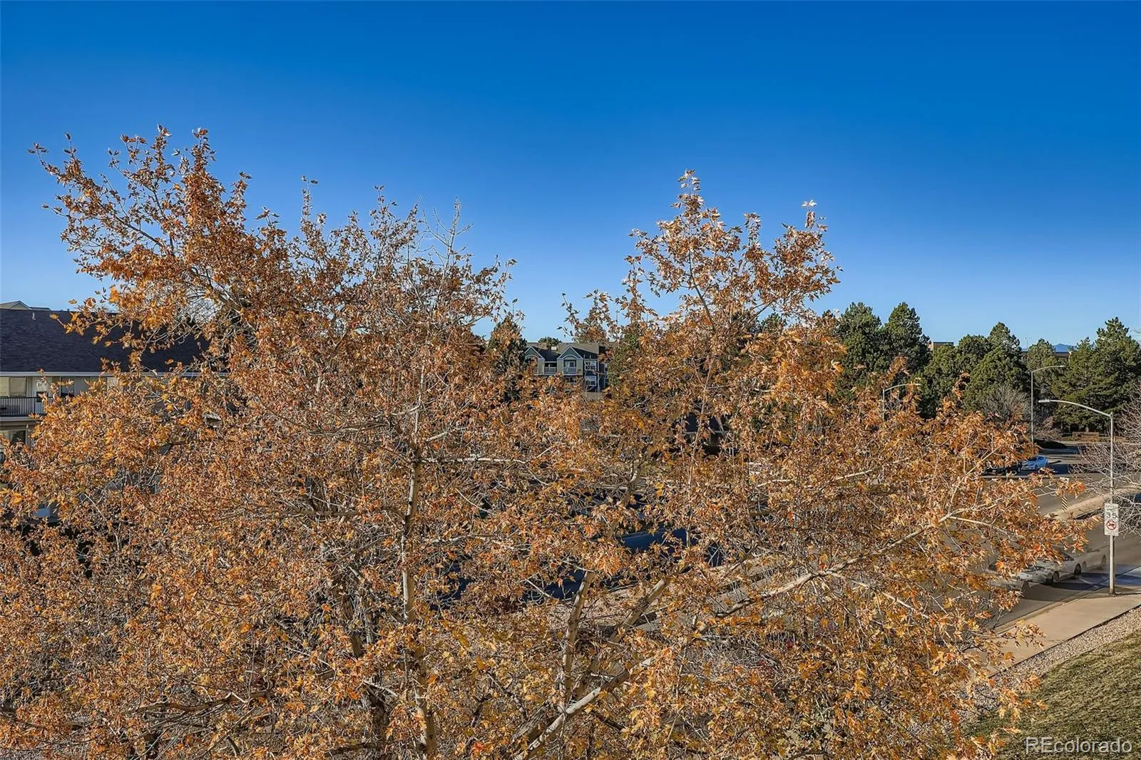 7255 E Quincy Avenue #403 Denver CO 80237 MLS #REC9874227 04102026182656 1600 27