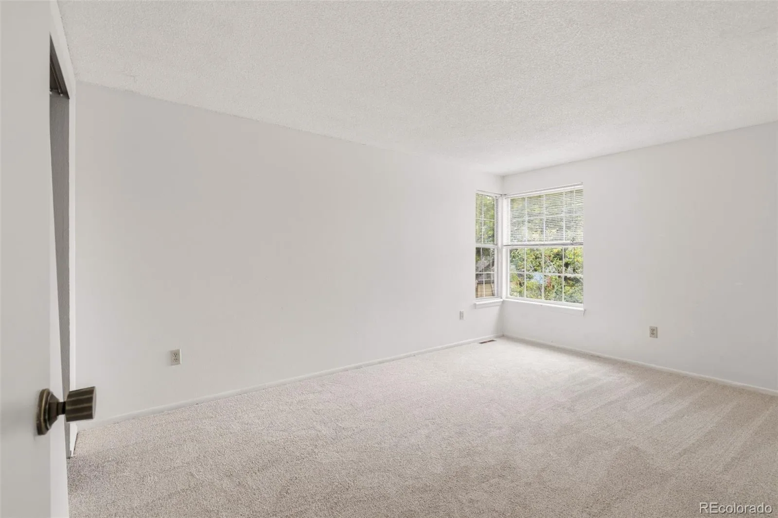 11423 W Sharkstooth Peak Littleton CO 80127 | MLS #REC9879854 08152026181810 1600 23