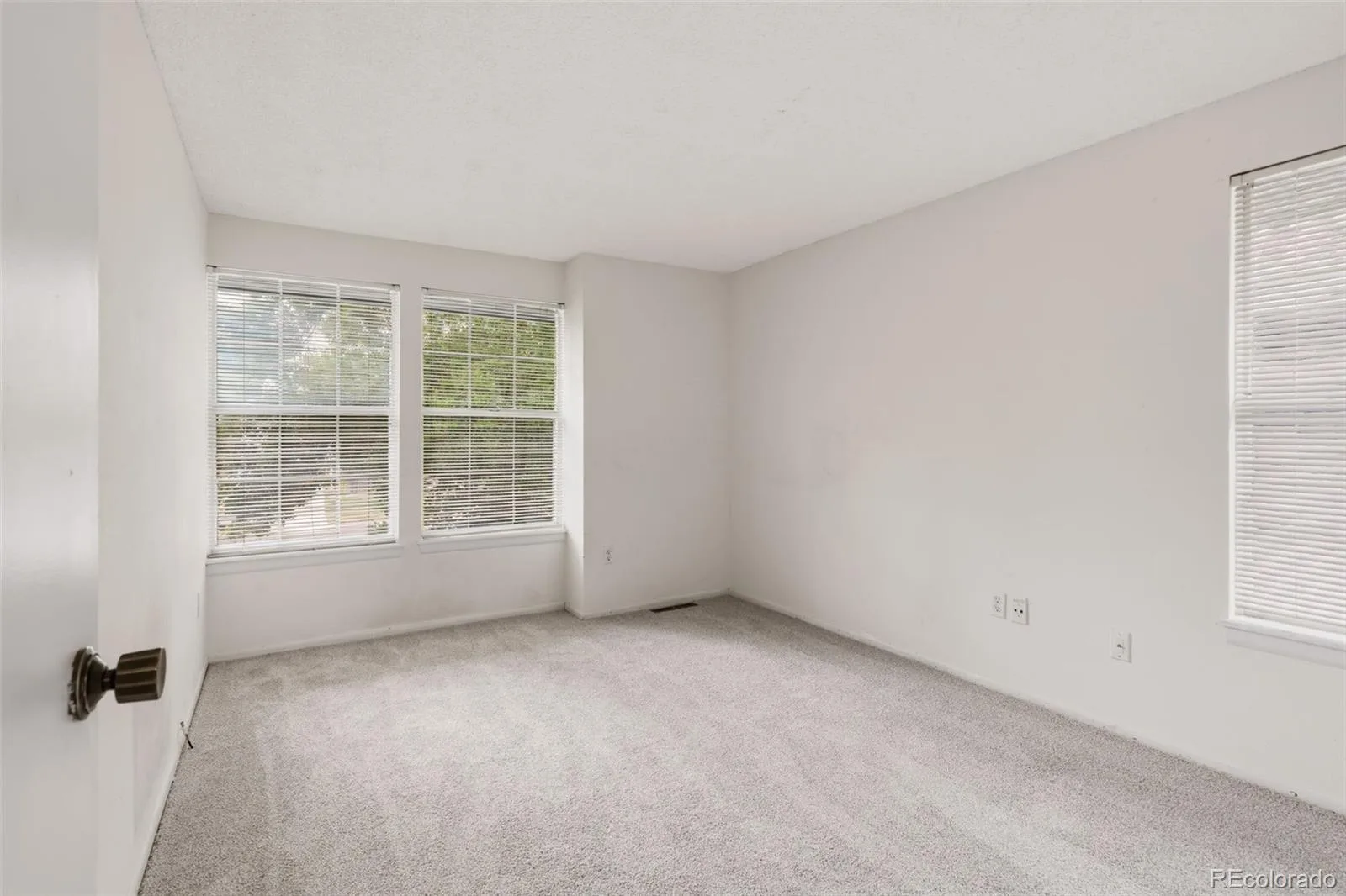 11423 W Sharkstooth Peak Littleton CO 80127 | MLS #REC9879854 08152026181810 1600 24
