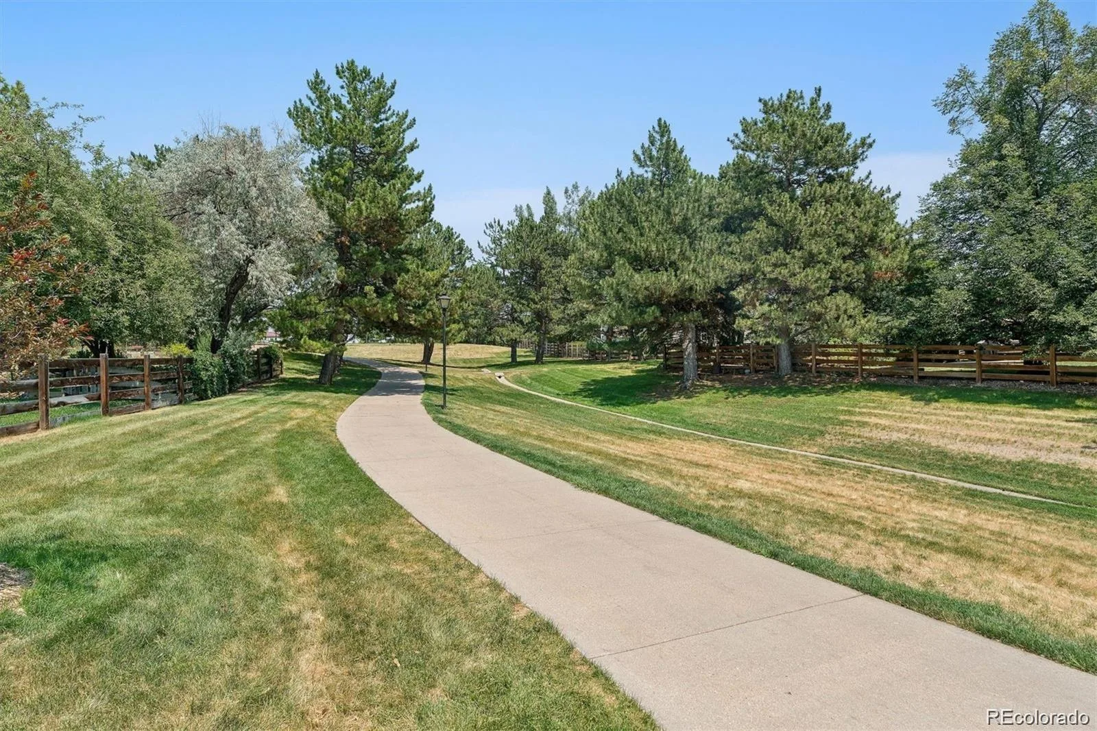 11423 W Sharkstooth Peak Littleton CO 80127 | MLS #REC9879854 08152026181810 1600 44