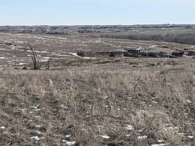 44324 N Wrangle Court Parker CO 80138 | MLS #REC9880367 03092025090704 640 1