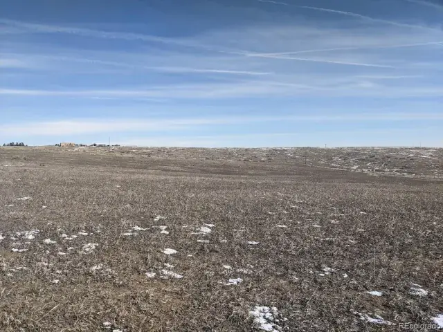 44324 N Wrangle Court Parker CO 80138 | MLS #REC9880367 03092025090704 640 2