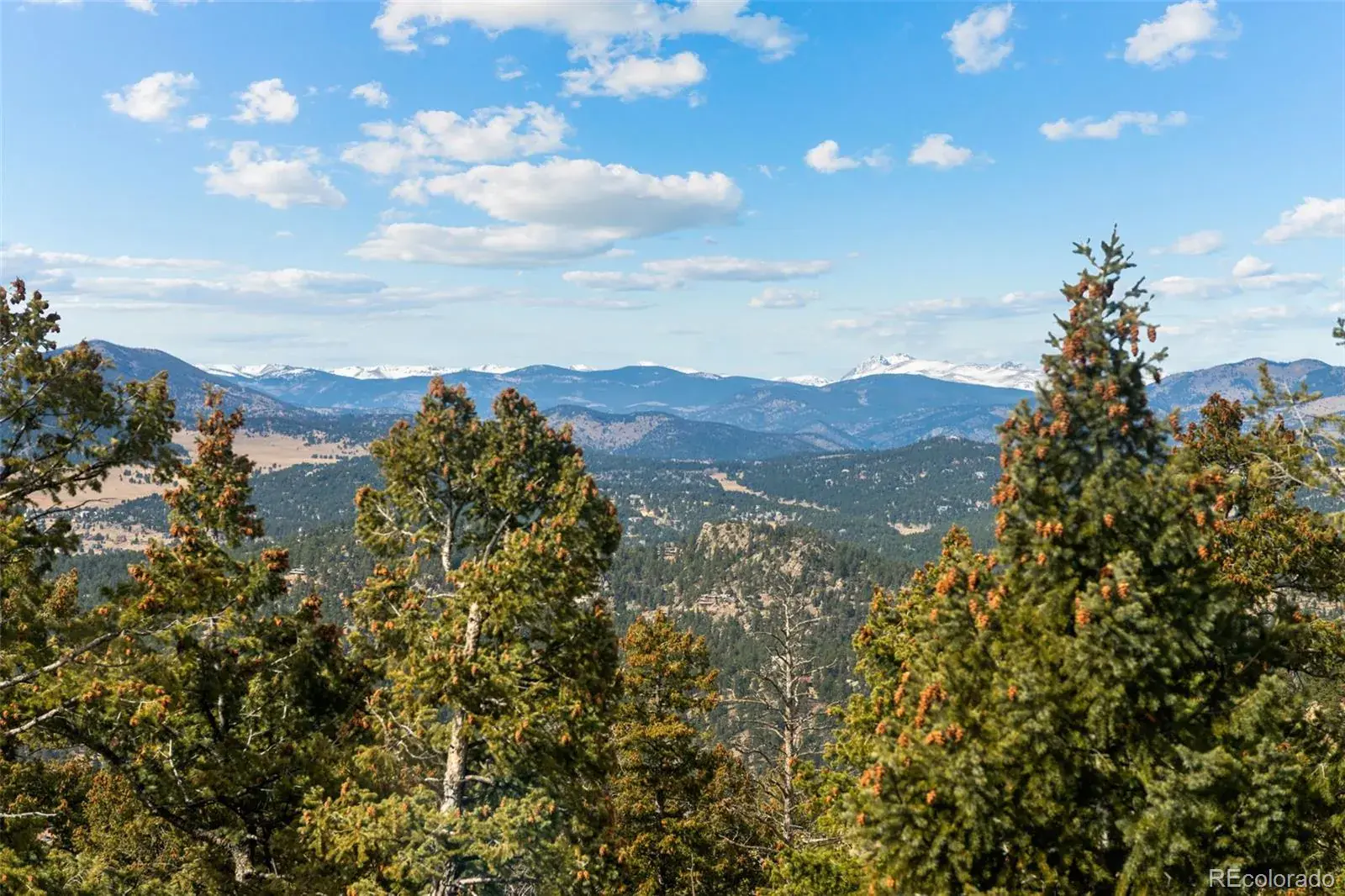 26262 Fern Gulch Road Evergreen CO 80439 | MLS #REC9886286 03022026200820 1600 26