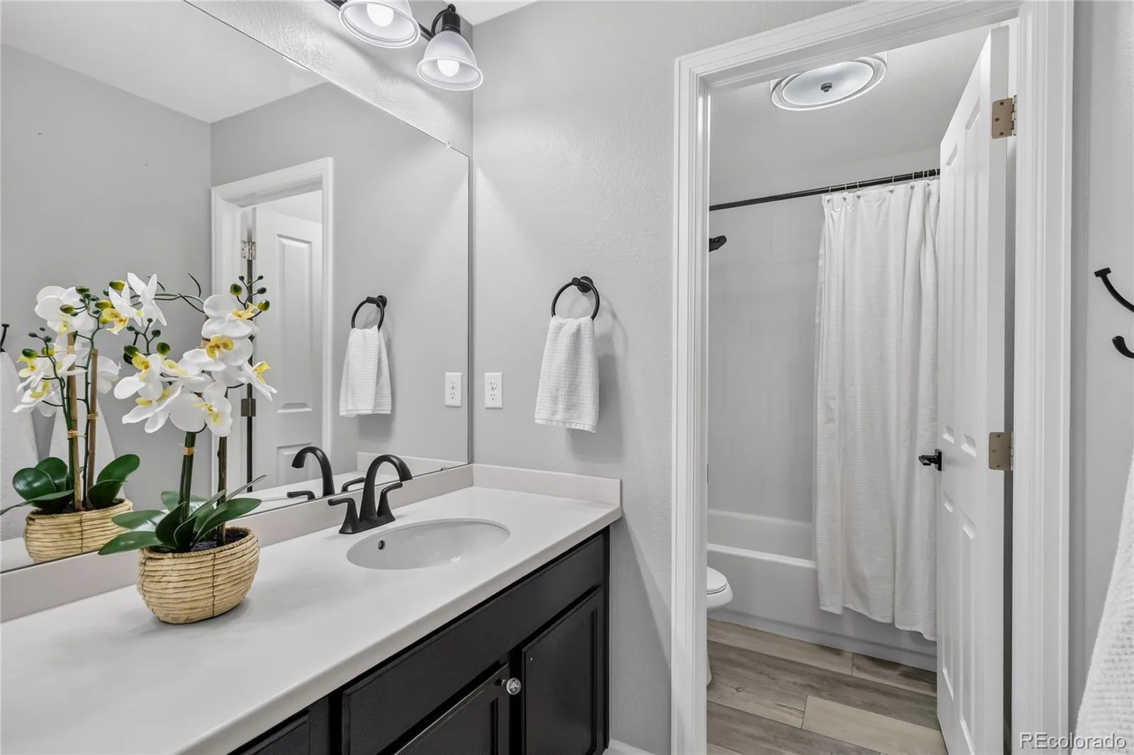 493 Sudbury Street Castle Rock CO 80104 | MLS #REC9899322 08132026084457 1600 32