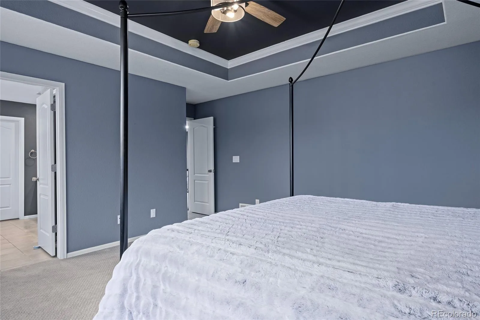 3021 Leafdale Drive Castle Rock CO 80109 | MLS #REC9900940 08212026114503 1600 35