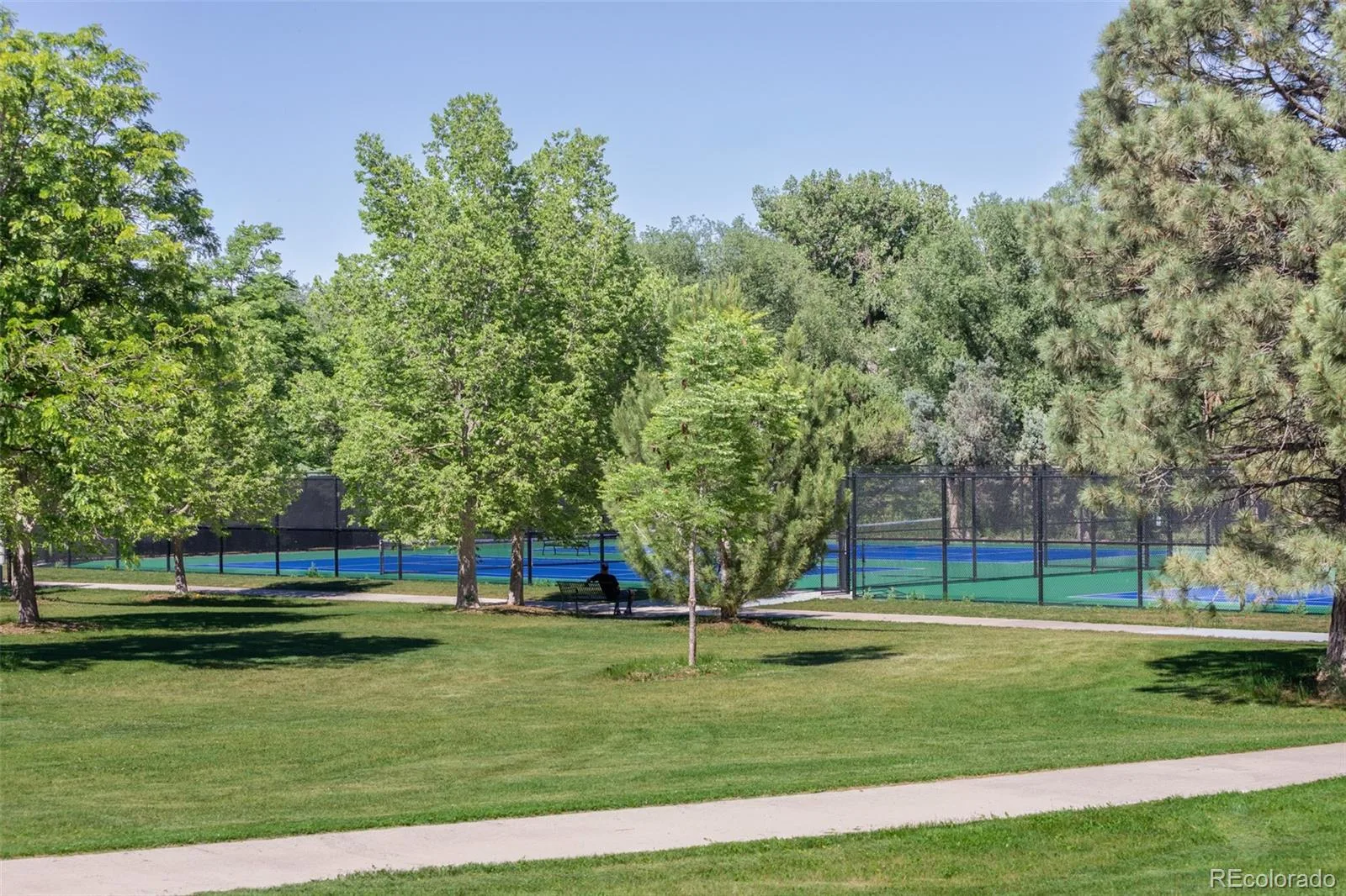 3984 S Whiting Way Denver CO 80237 MLS #REC9908496 06152026041745 1600 34