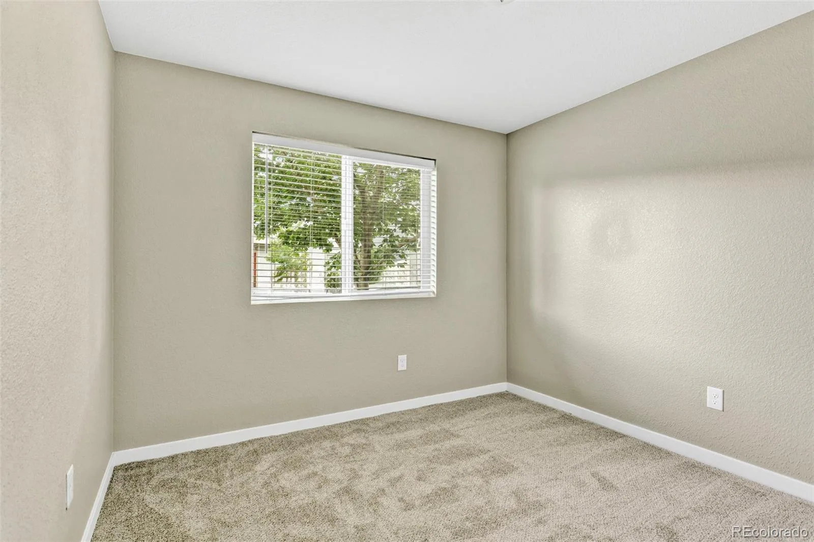 4863 Halifax Court Denver CO 80249 | MLS #REC9910331 07282026013419 1600 27