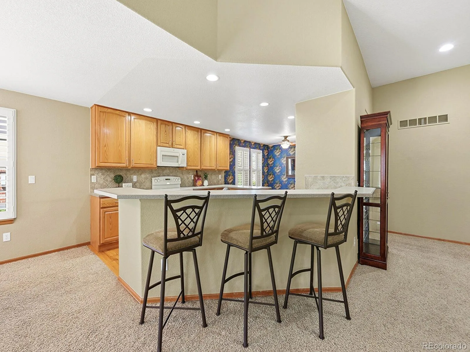 22462 E Alder Drive Aurora CO 80016 | MLS #REC9914380 06302026170748 1600 4