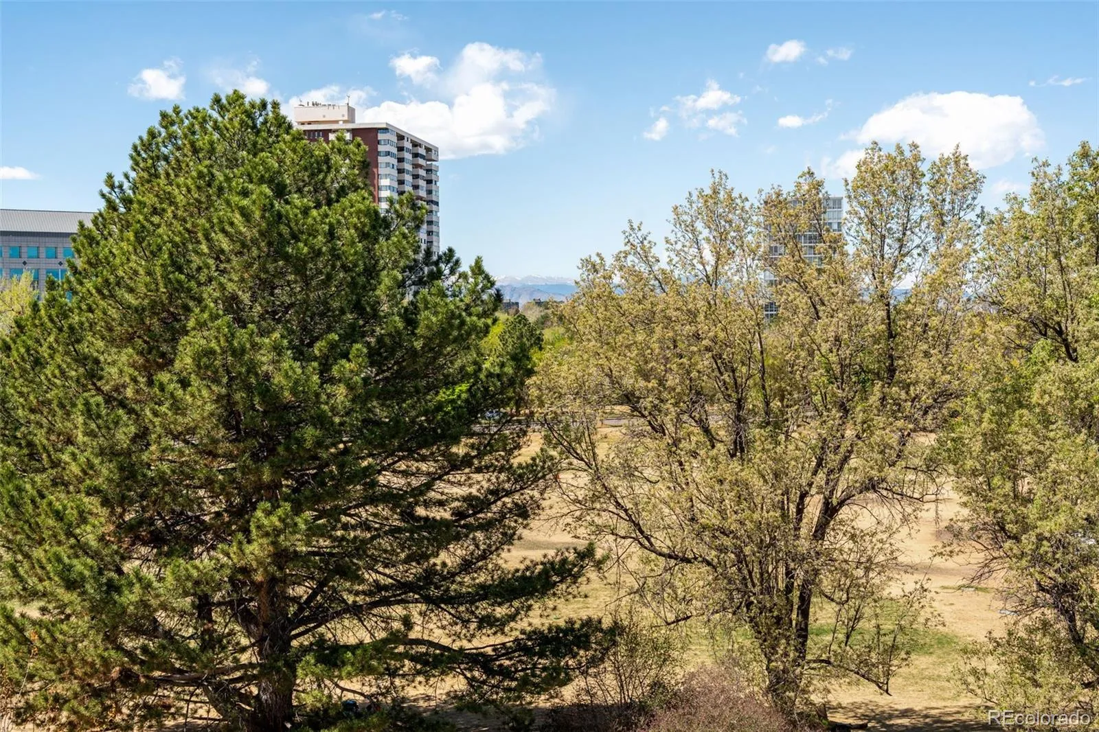 04142026185452 1600 43