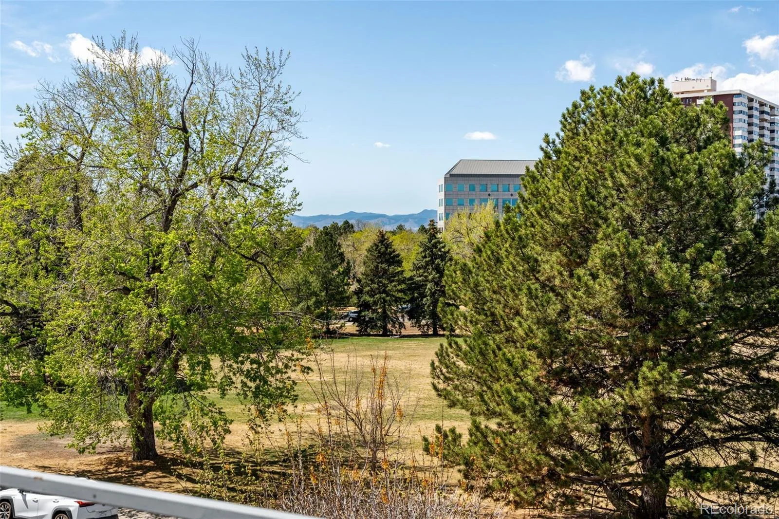 234 S Madison Street #H Denver CO 80209 MLS #REC9915107 06122026232453 1600 37