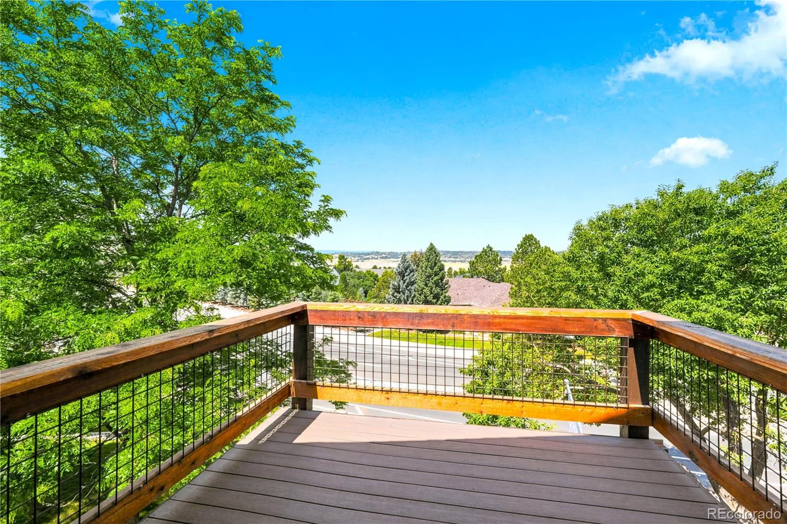 204 Cheney Place Castle Rock CO 80104 | MLS #REC9917091 08252026215148 1600 23