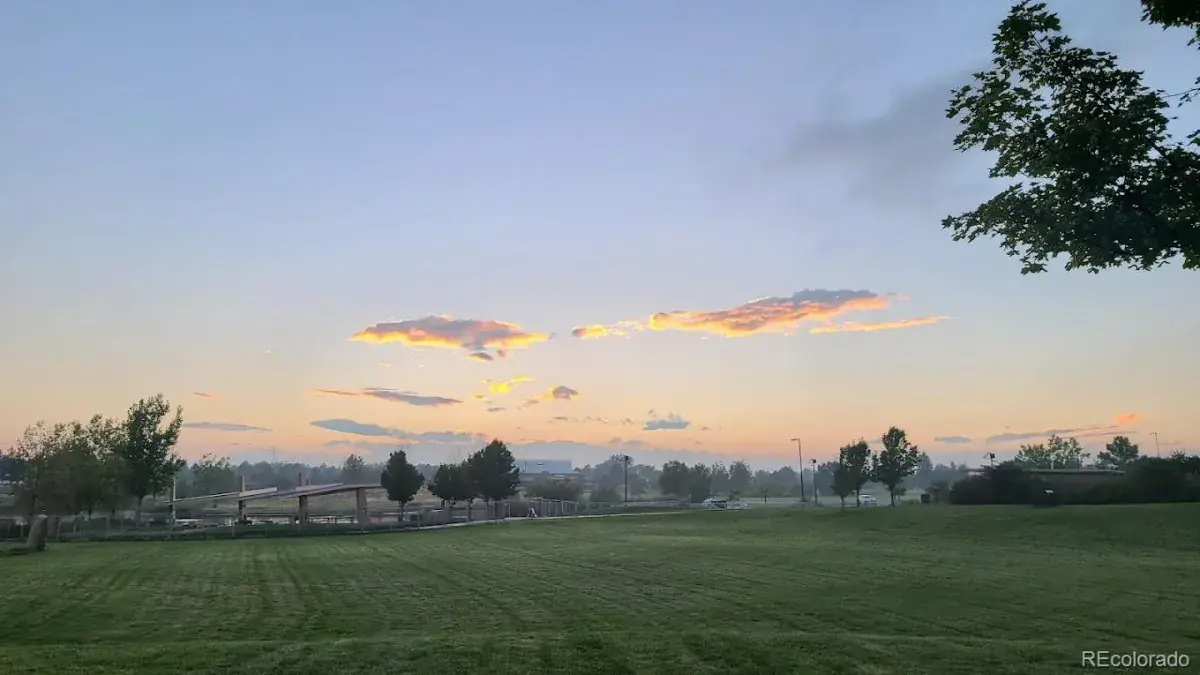 01312026060437 1200 36