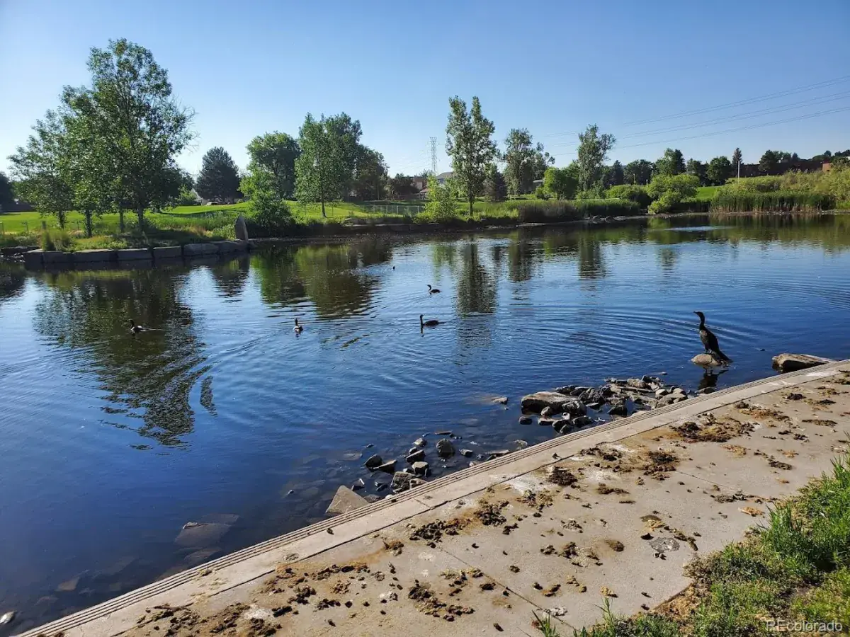 01312026060437 1200 38