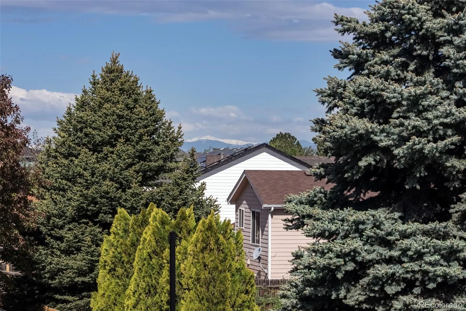 1577 S Pitkin Circle Aurora CO 80017 MLS #REC9925947 05132026224810 1600 27