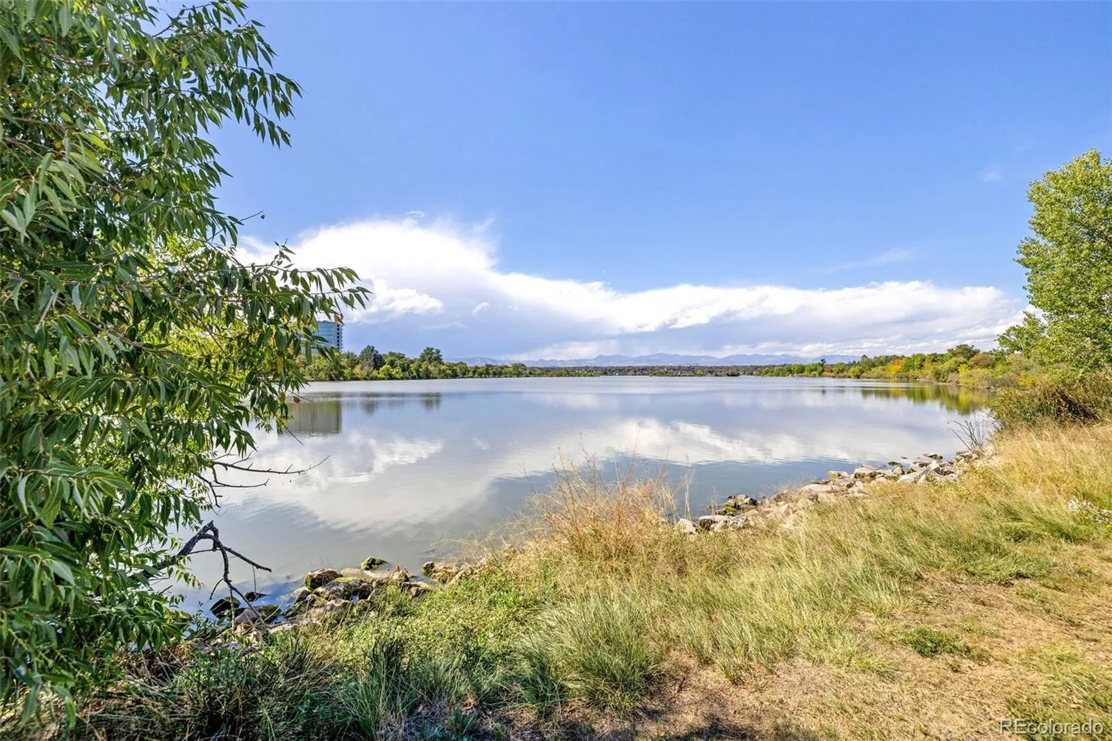 4621 W 30th Avenue Denver CO 80212 | MLS #REC9927593 09262026010726 1600 45