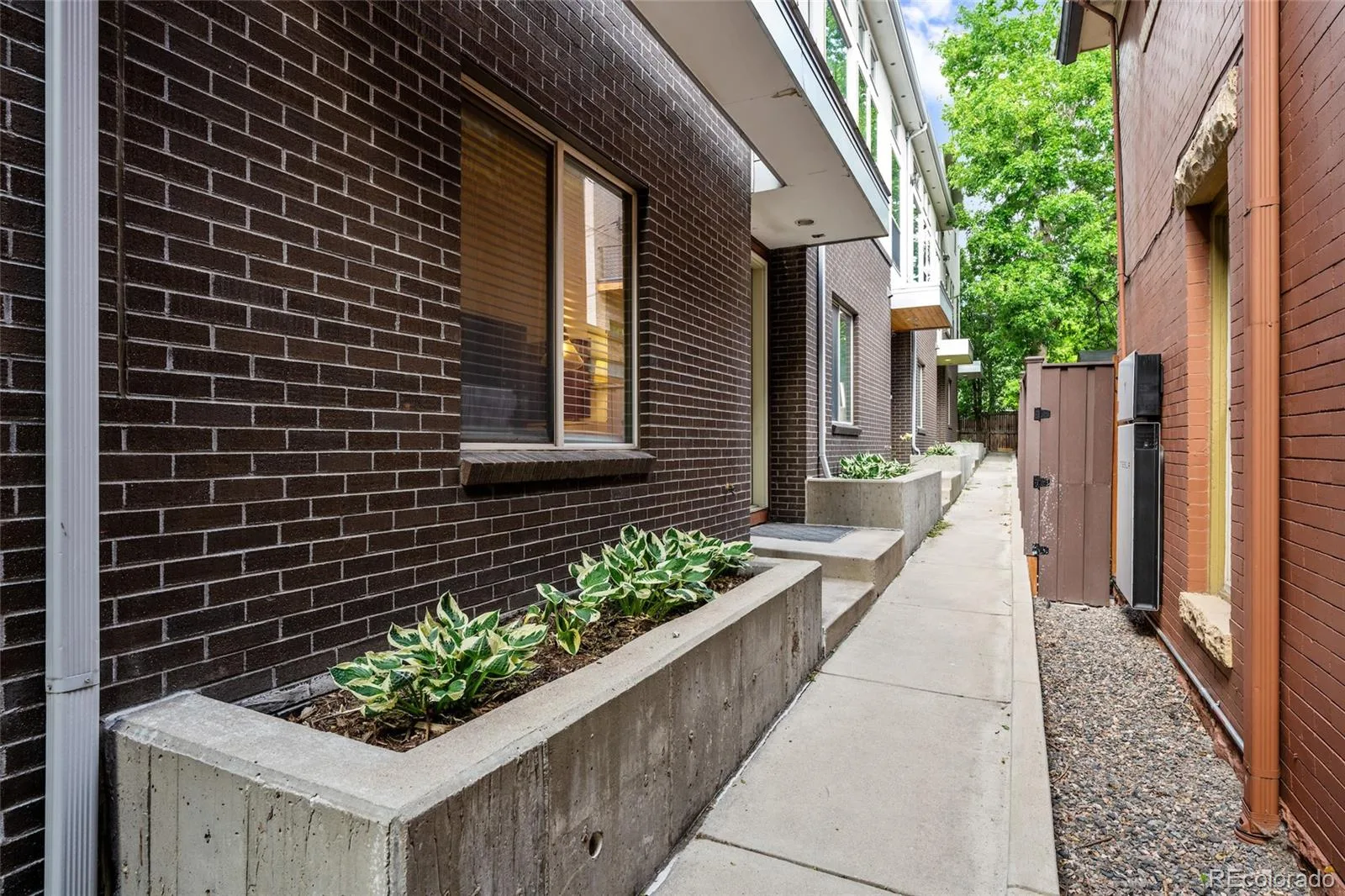 3139 Vallejo Street Denver CO 80211 | MLS #REC9930636 09252026185851 1600 2