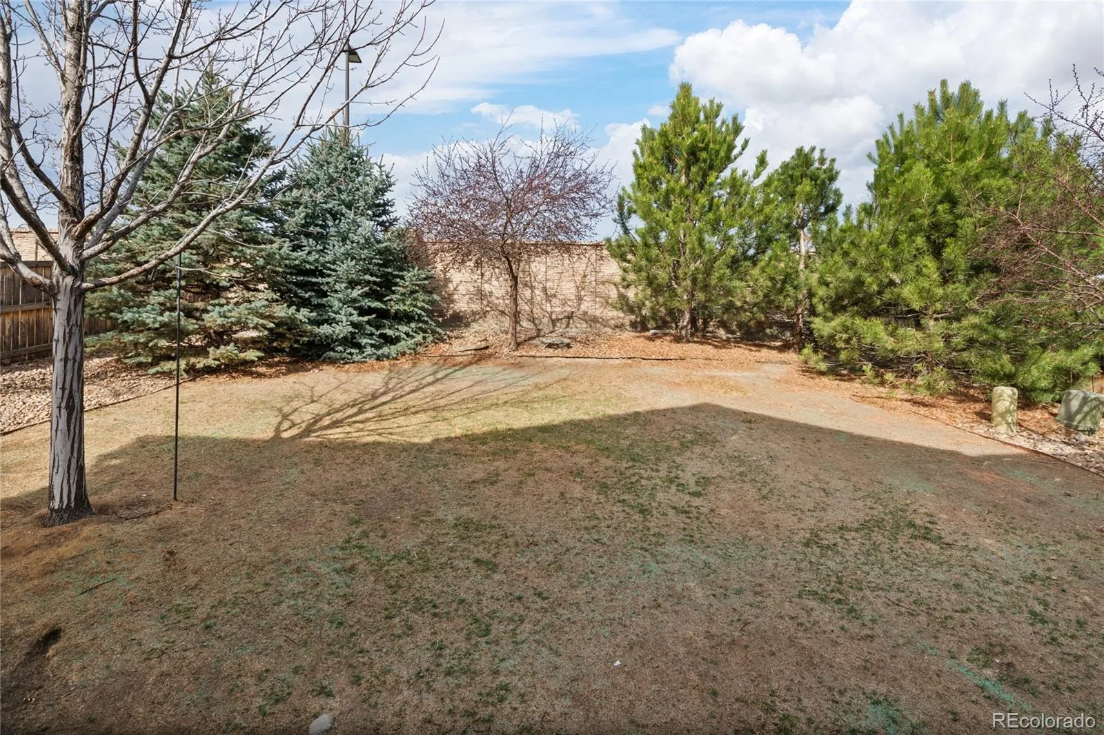 5563 S Elk Court Aurora CO 80016 | MLS #REC9930688 07102026233800 1600 36