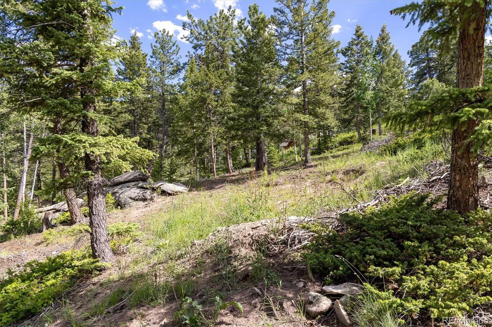 31429 Burke Road Golden CO 80403 | MLS #REC9941267 08132026171727 1600 10